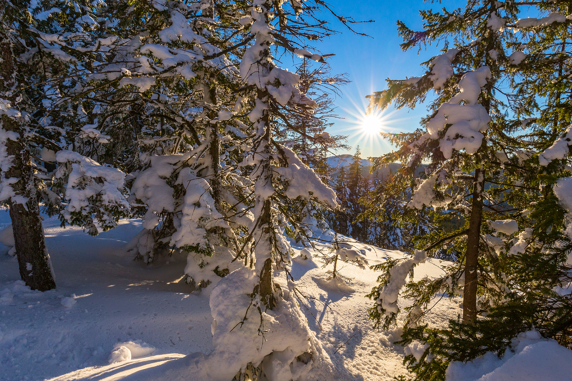 sumava, jezerni hrbet, vaclav krizek, západ slunce na sumave