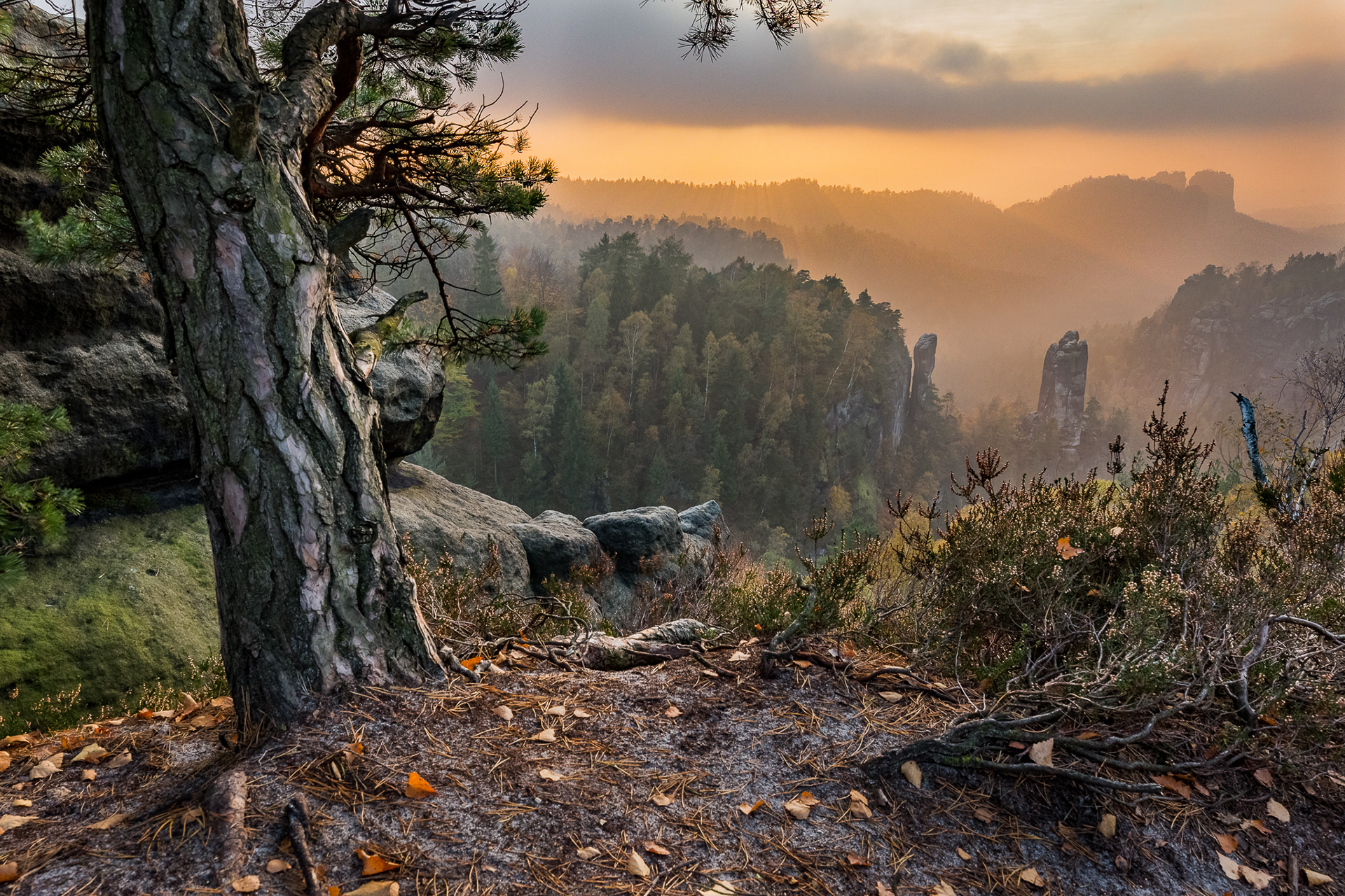ceske svycarsko, saske svycarsko, krajina, fotograf vaclav krizek