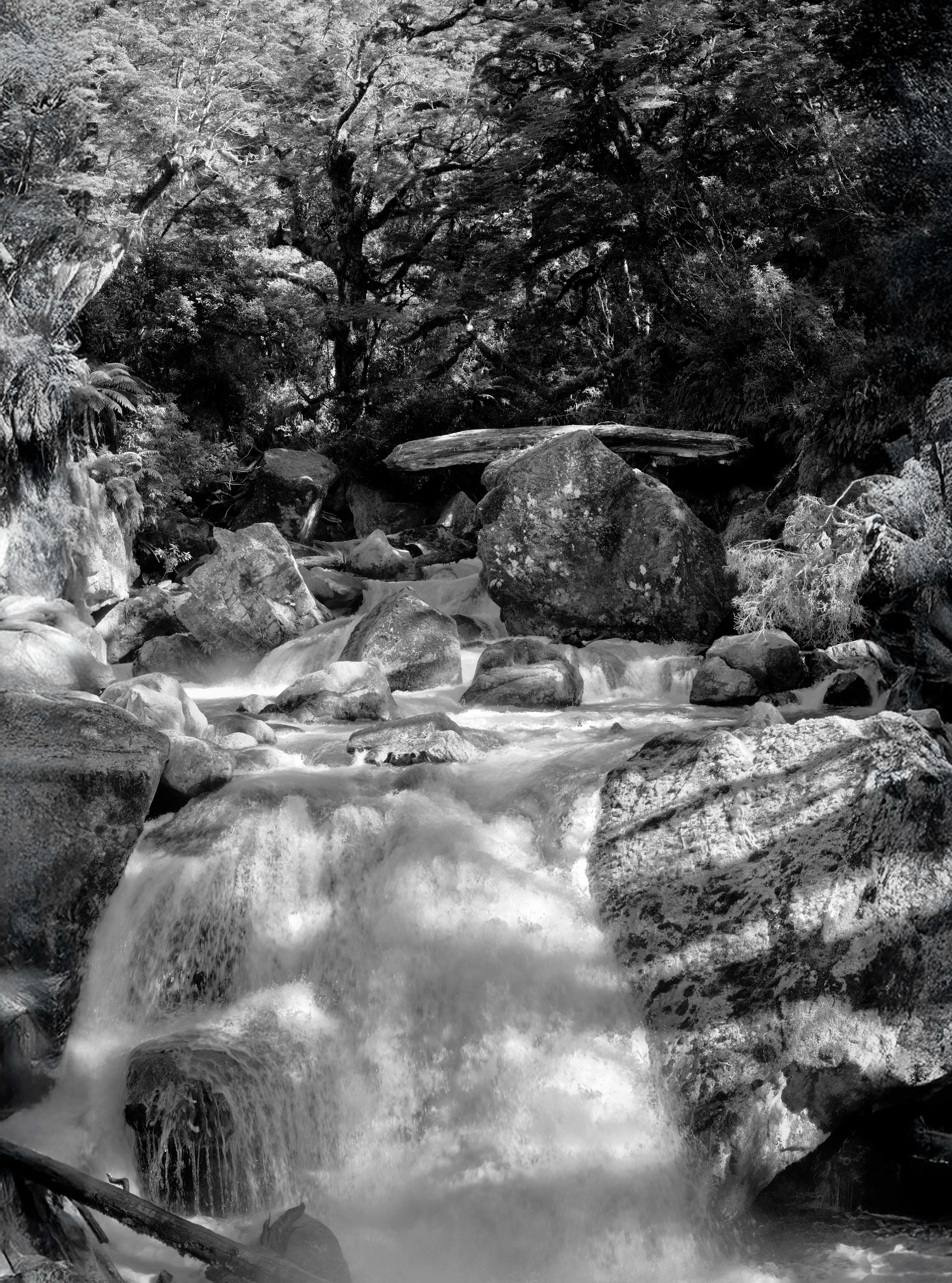 Falls, Cleddau River