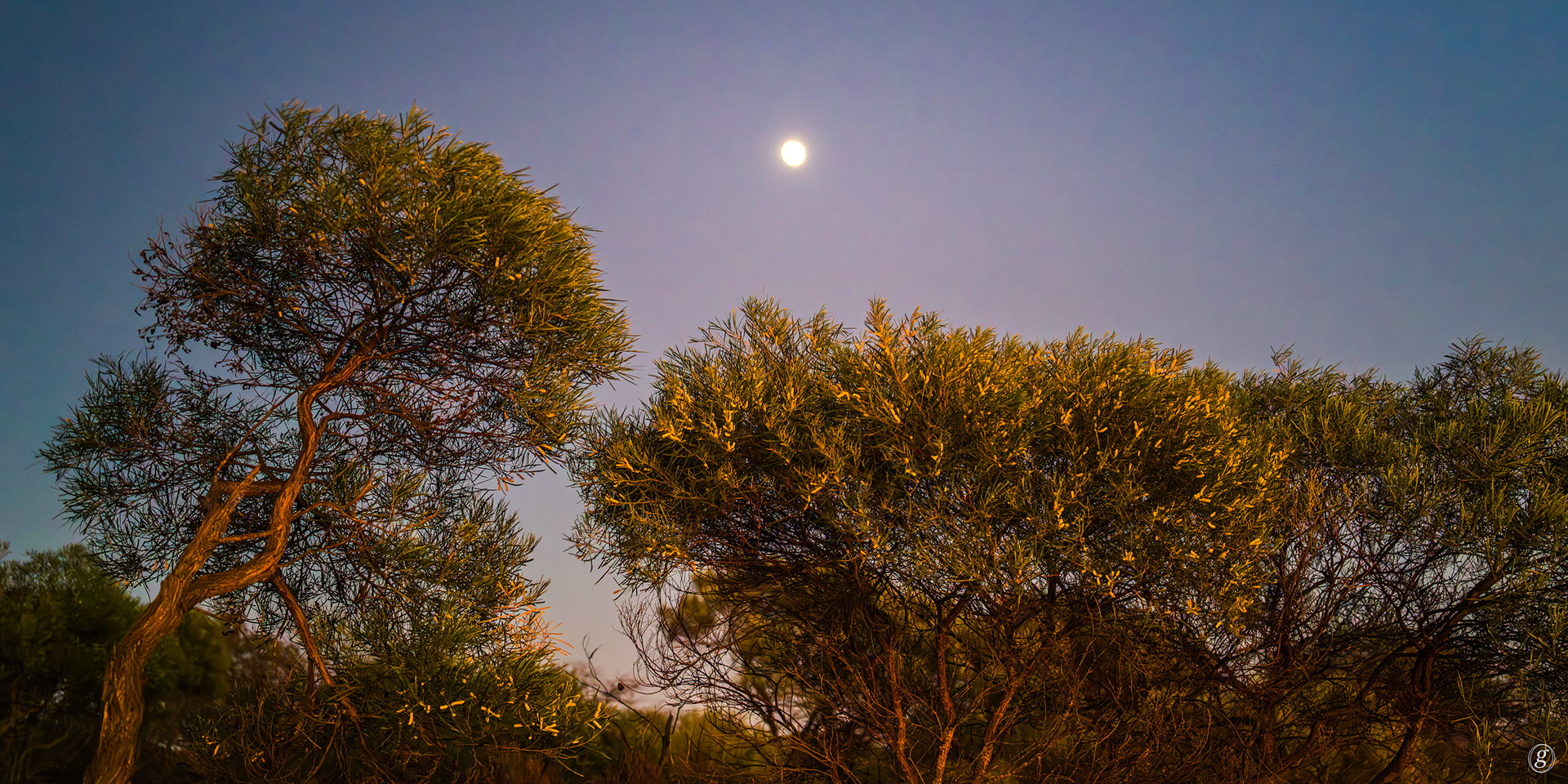 Murchison River overlook