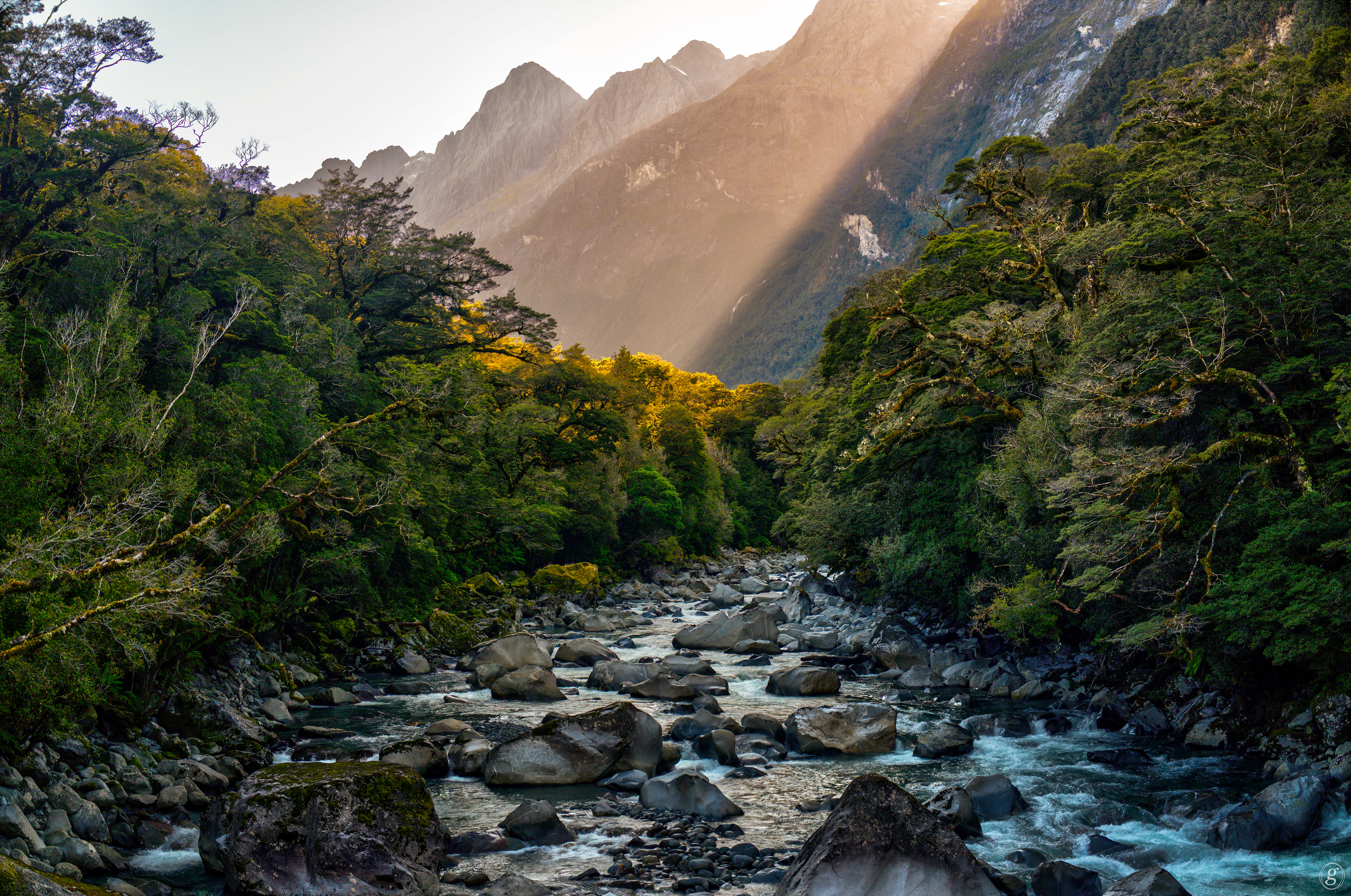 Cleddau River, near Milford Sound