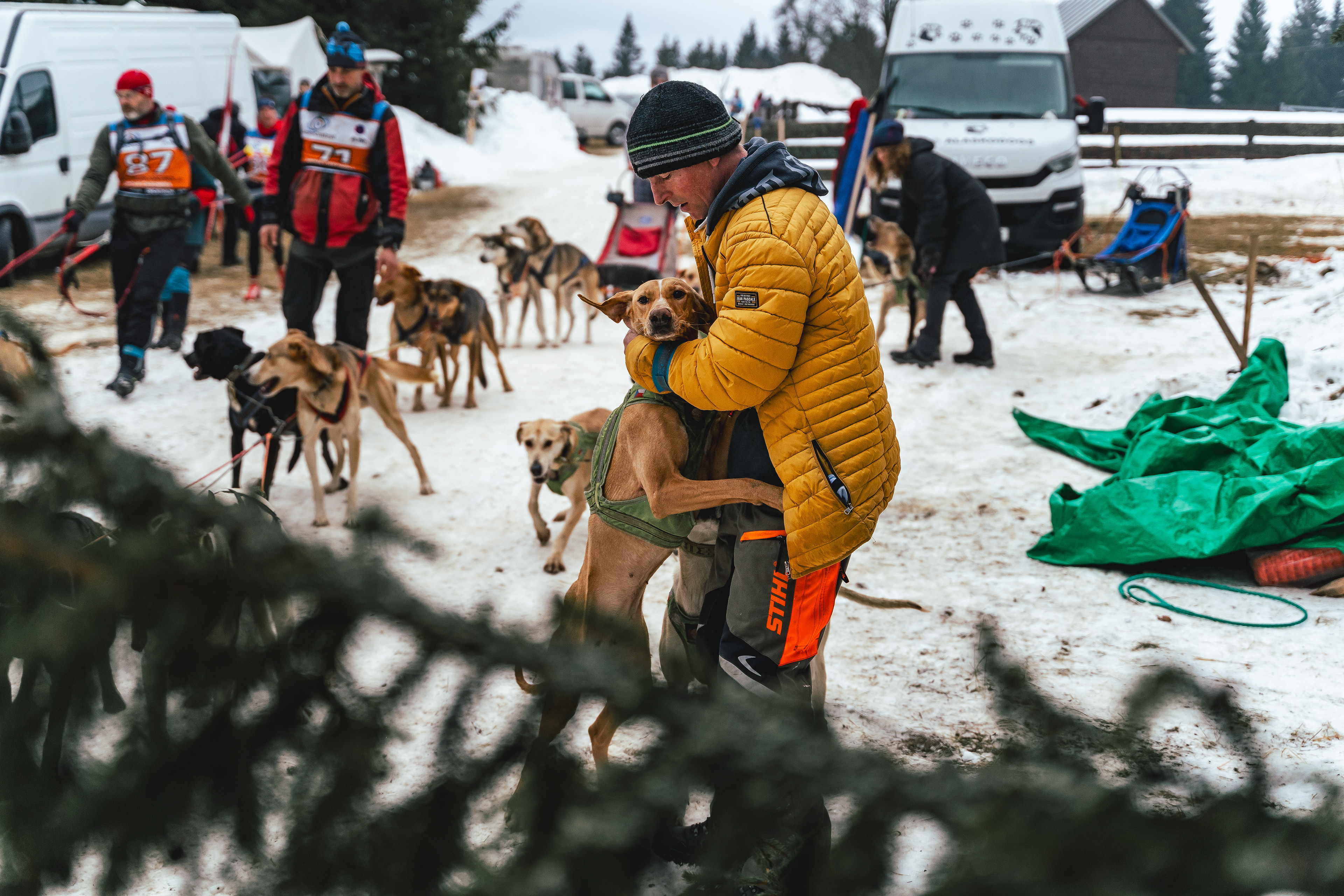 reportážní foto, mushing