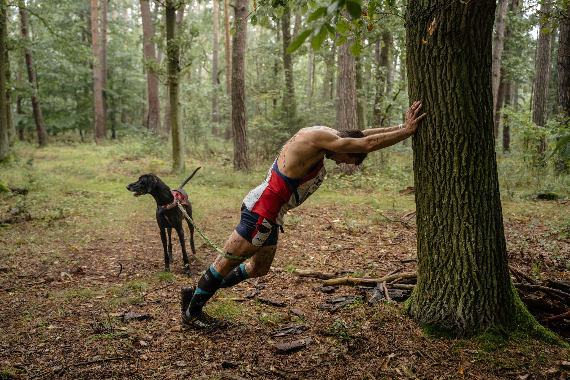 reportážní foto, mushing