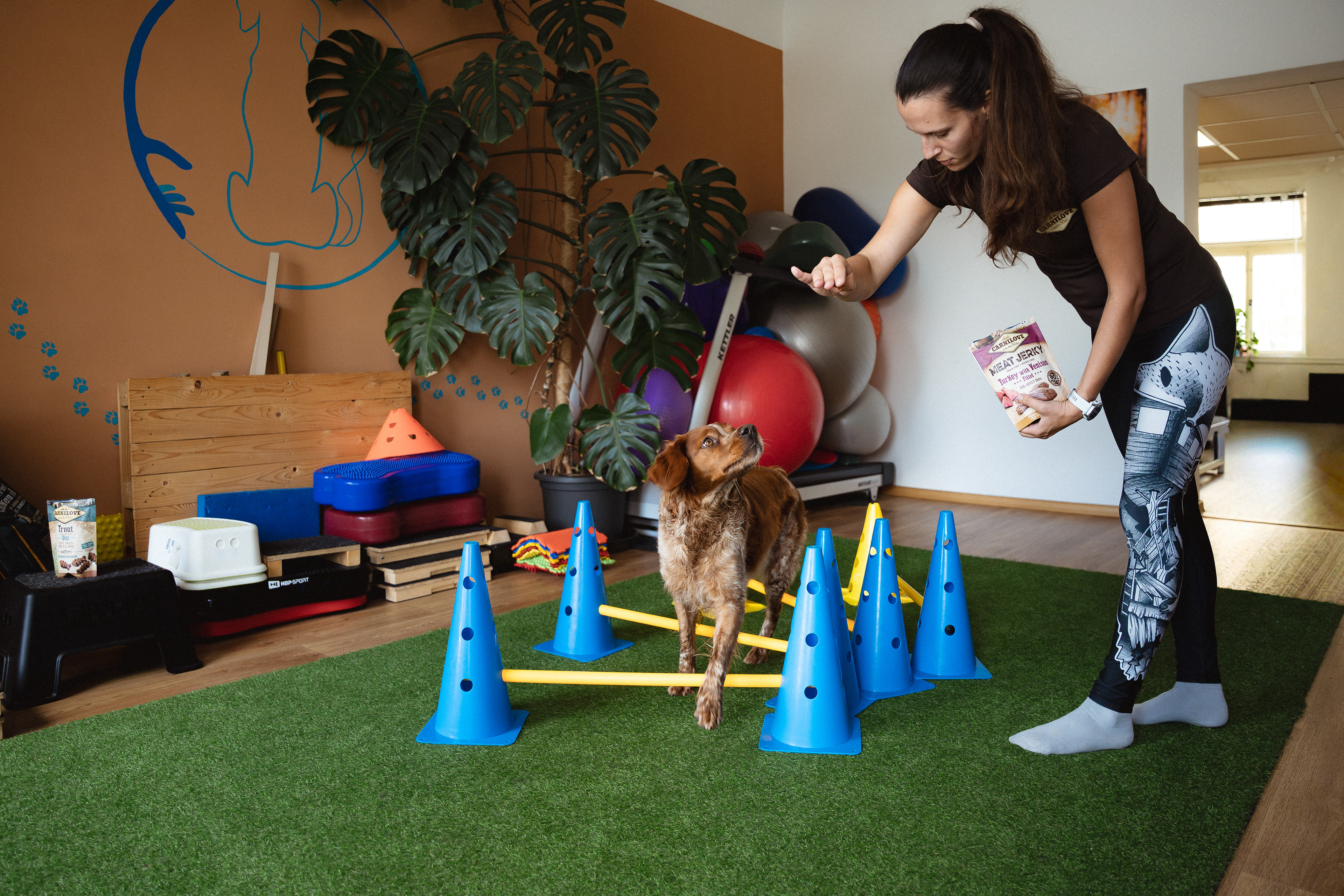 Dog Rehab Ester Černá