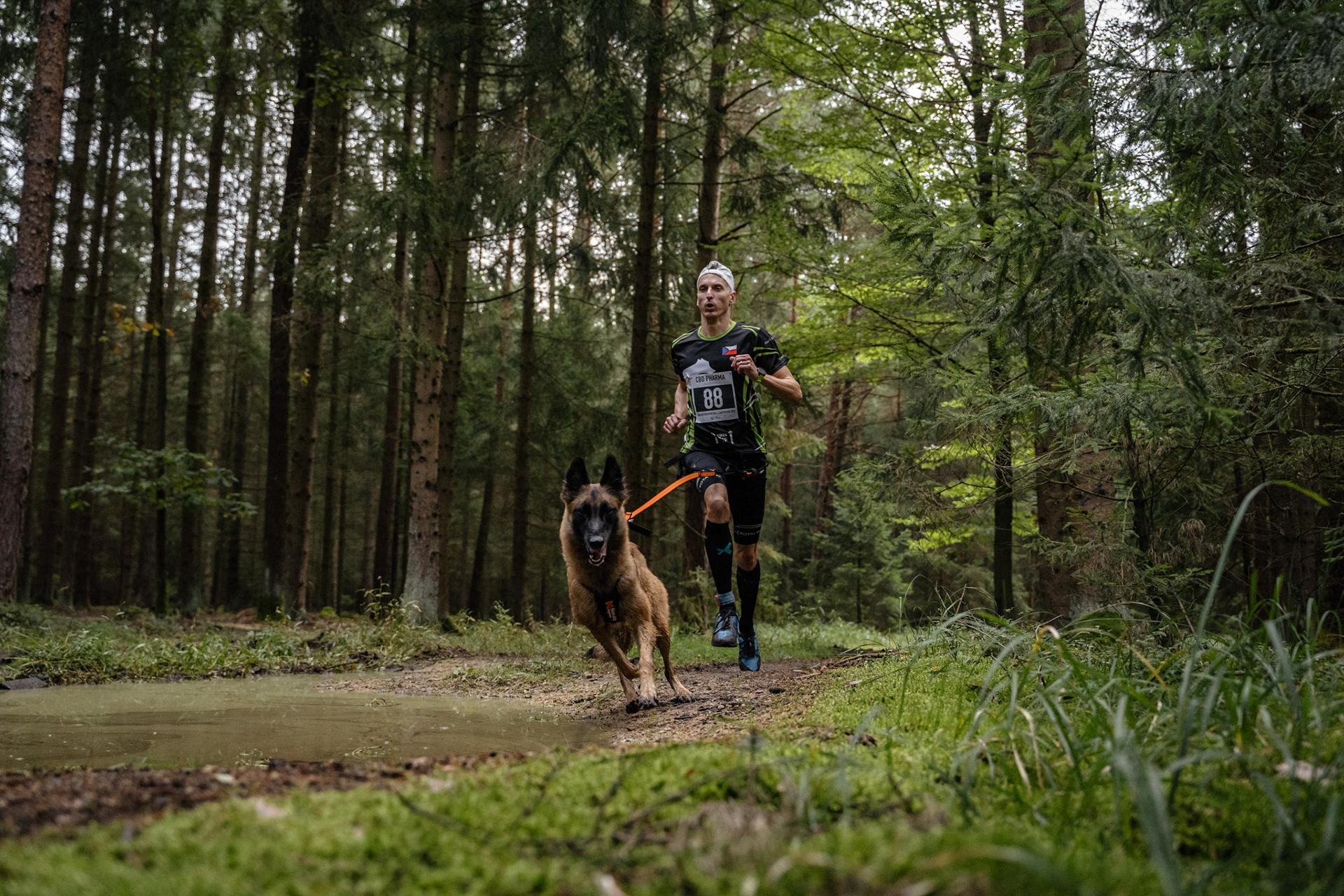 reportážní foto, mushing