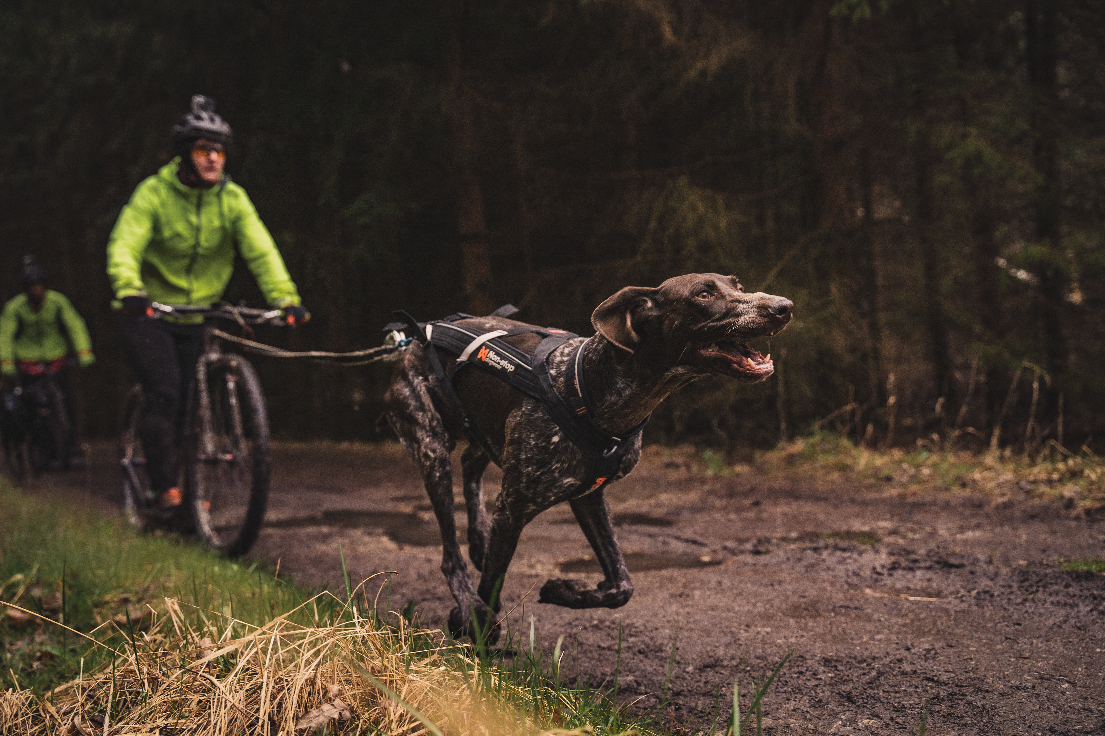 reportážní foto, mushing