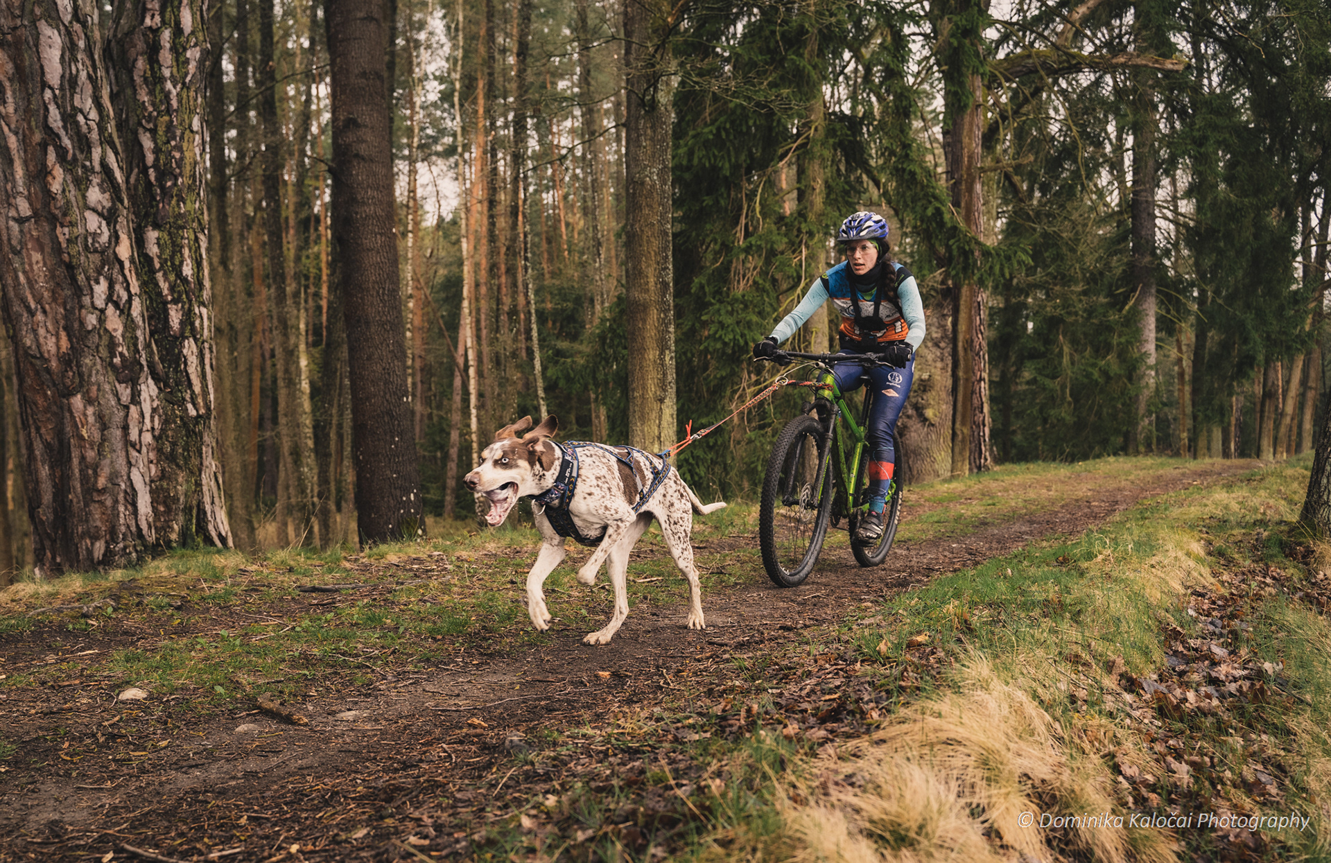 reportážní foto, mushing
