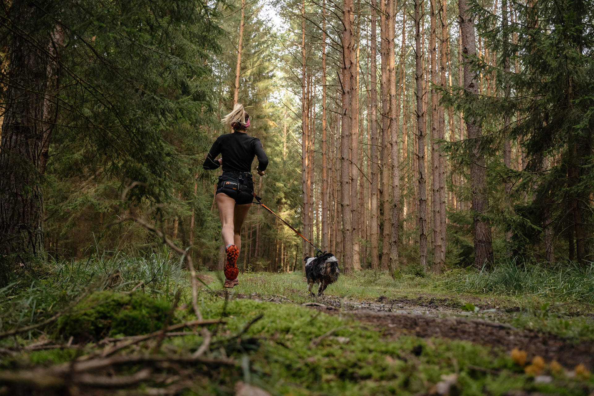 reportážní foto, mushing