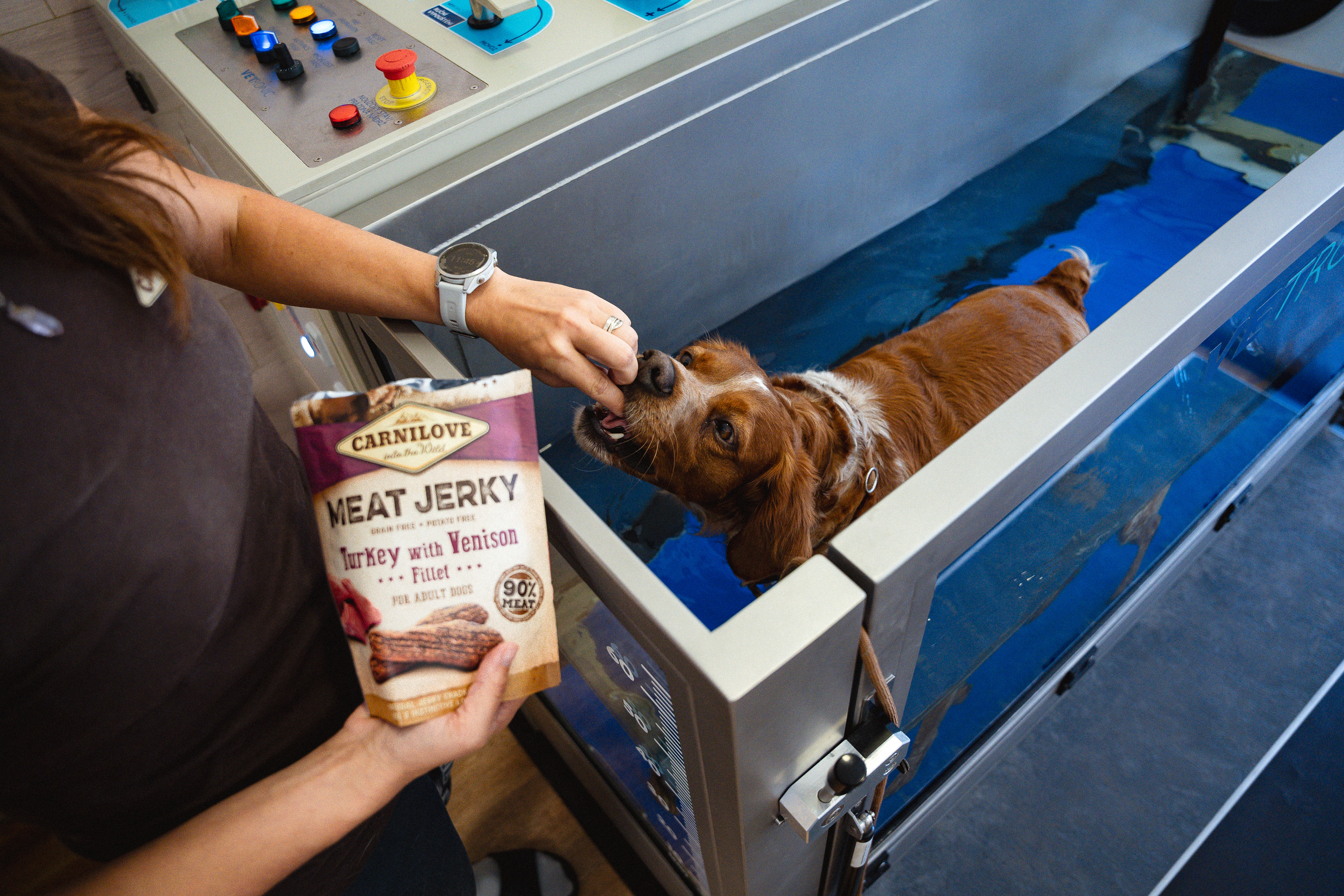 Dog Rehab Ester Černá