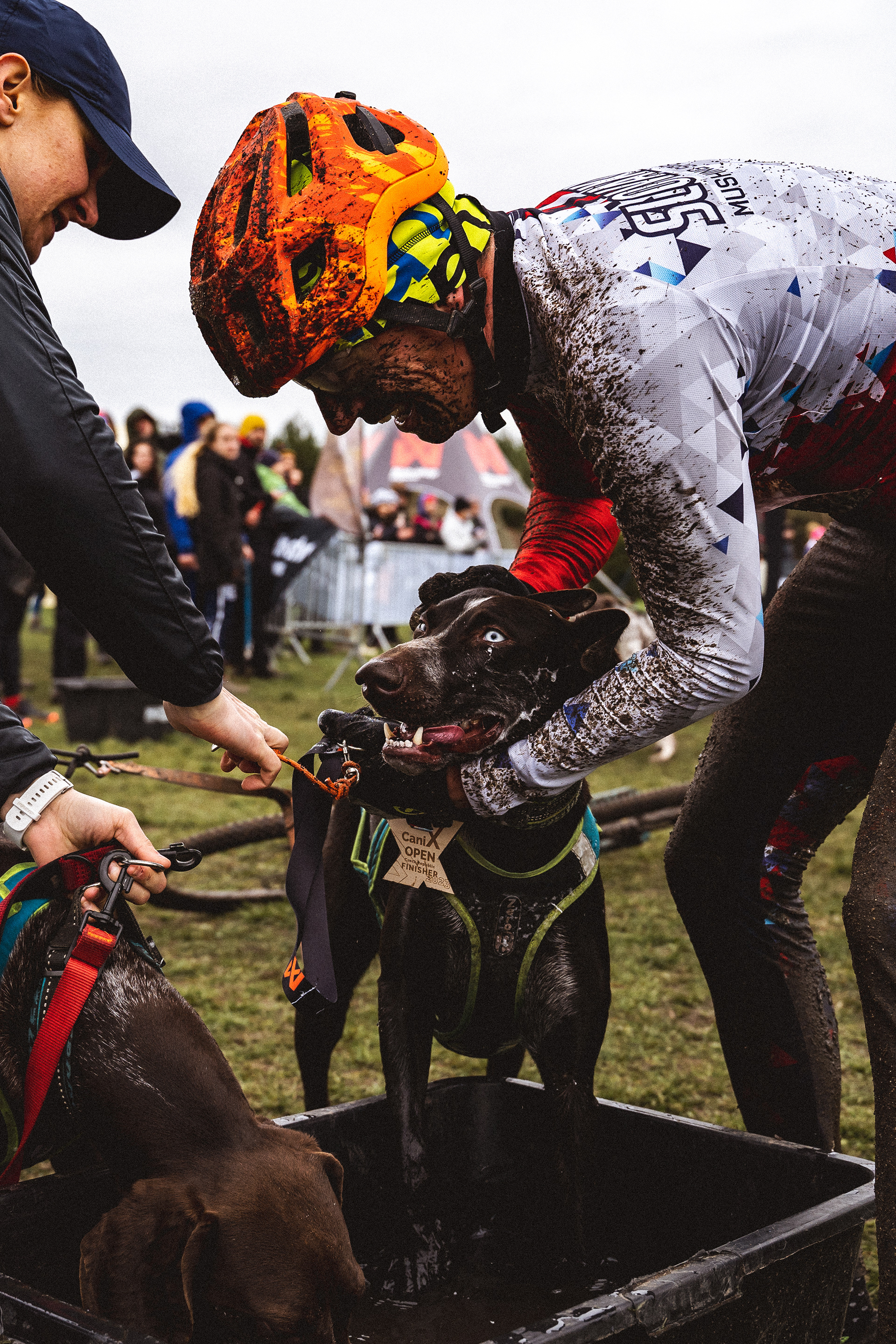 reportážní foto, mushing