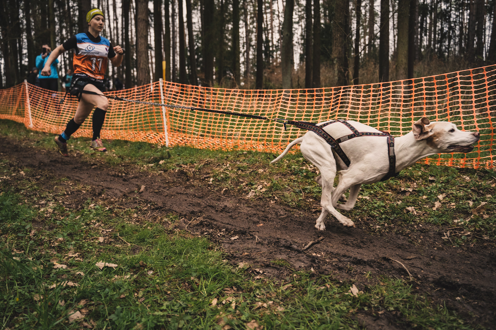 reportážní foto, mushing