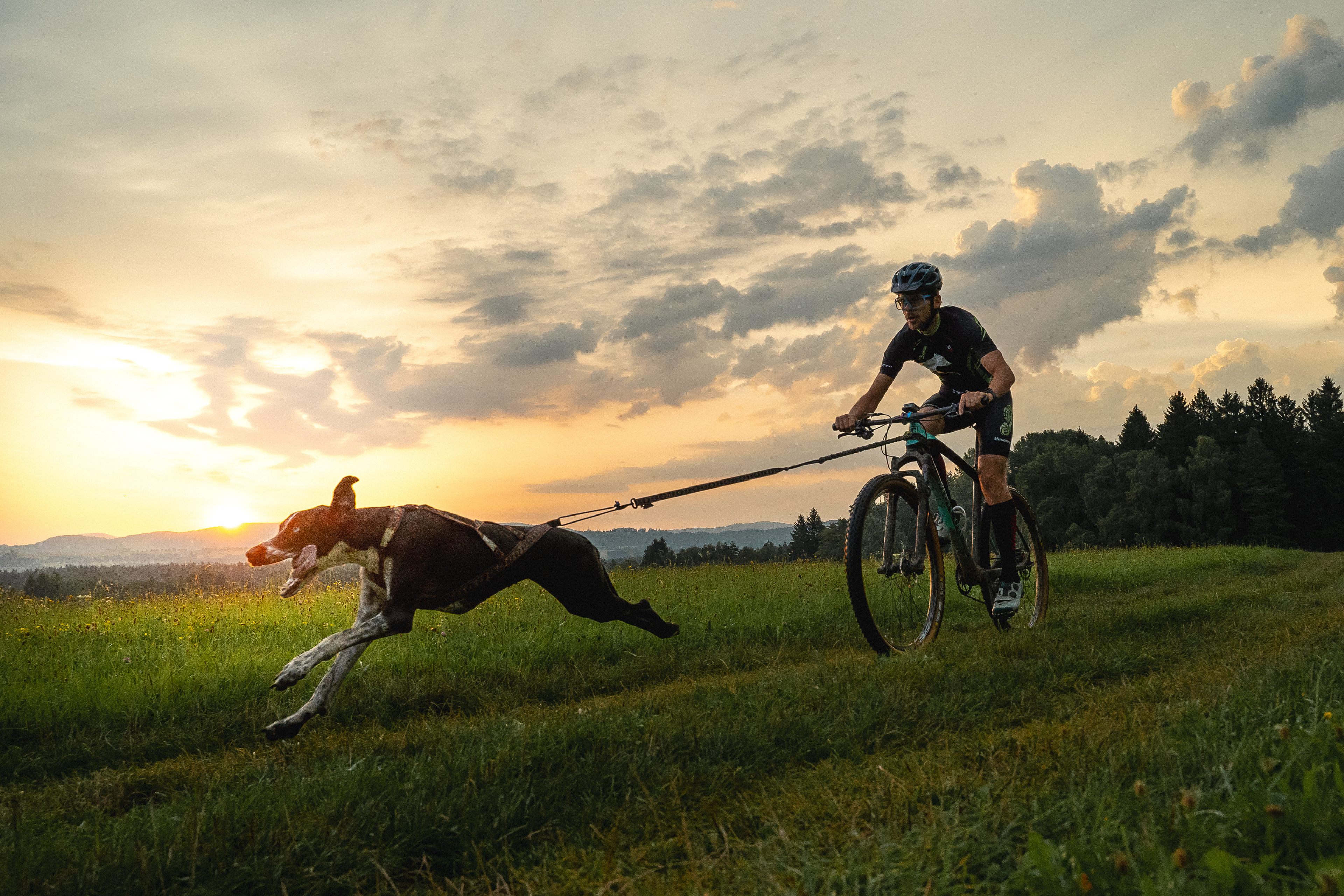 reportážní foto, mushing