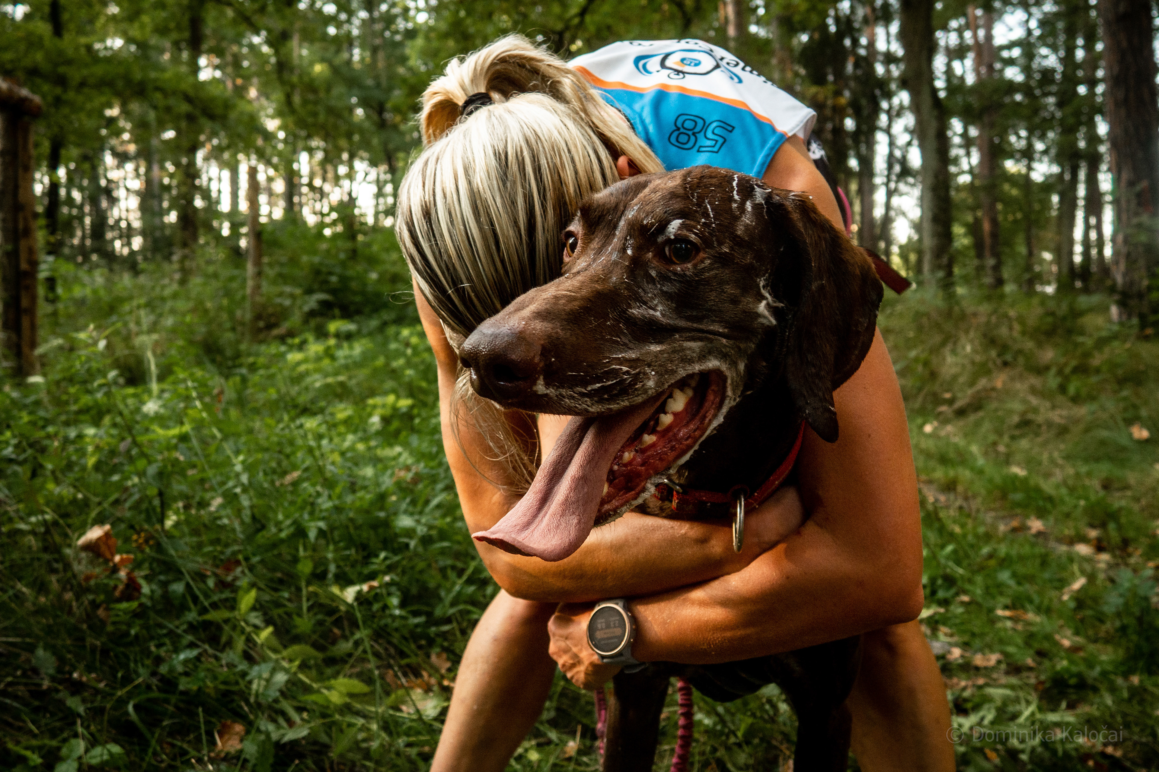 reportážní foto, mushing