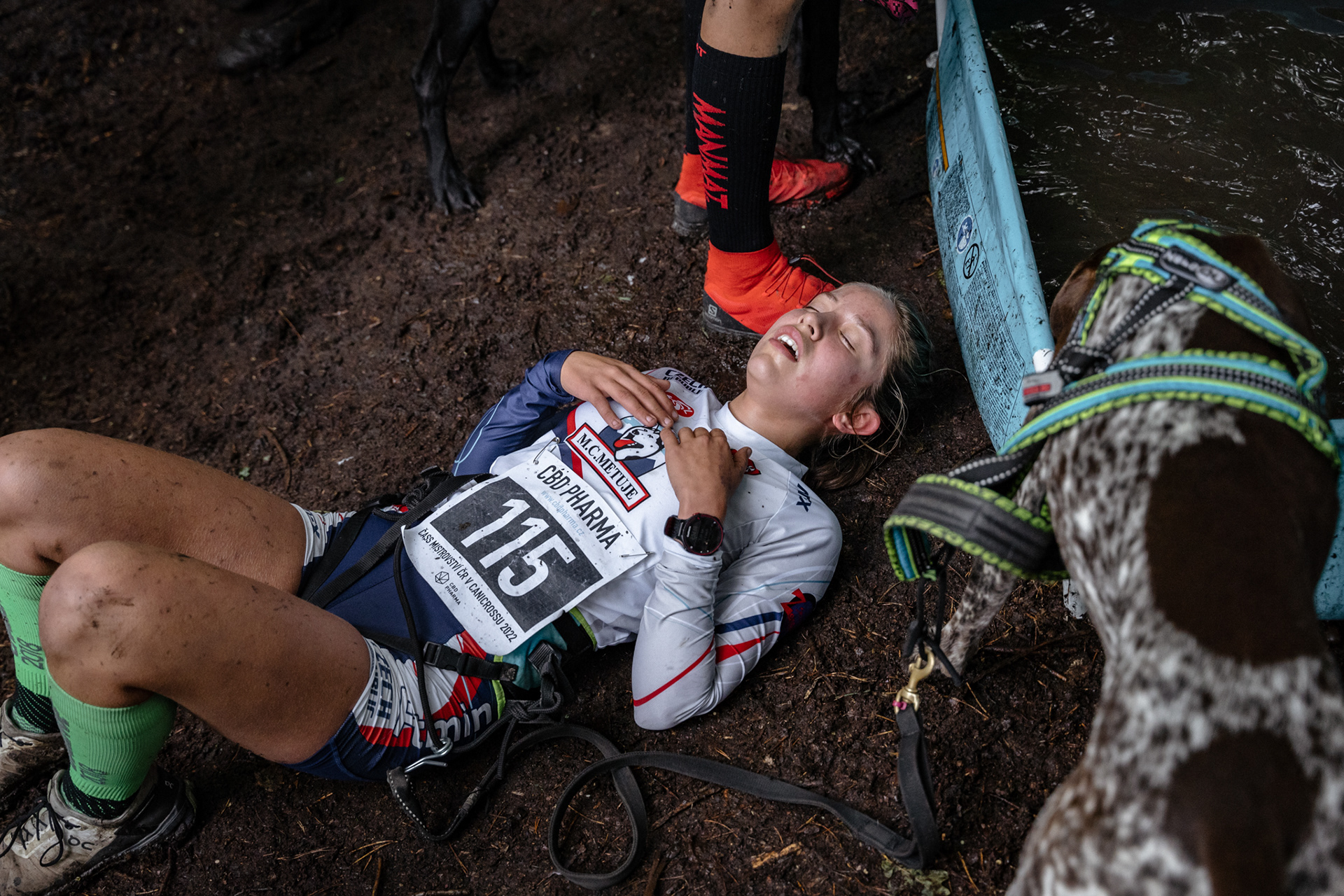 reportážní foto, mushing