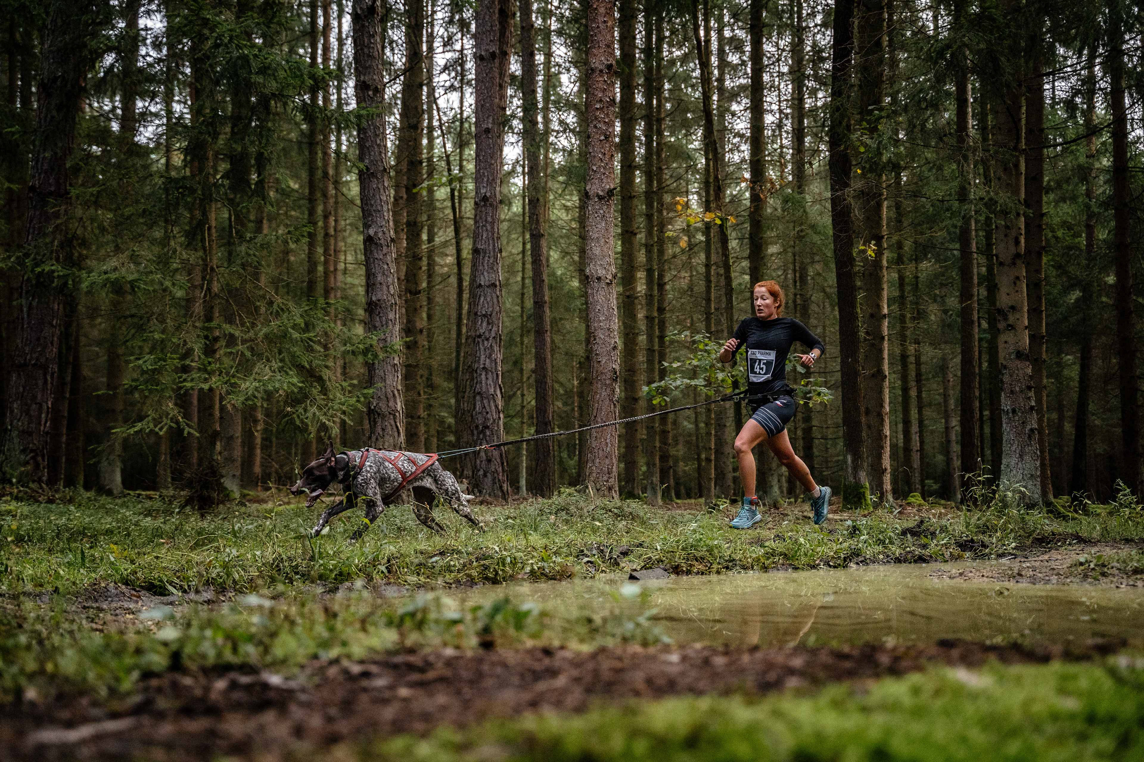 reportážní foto, mushing