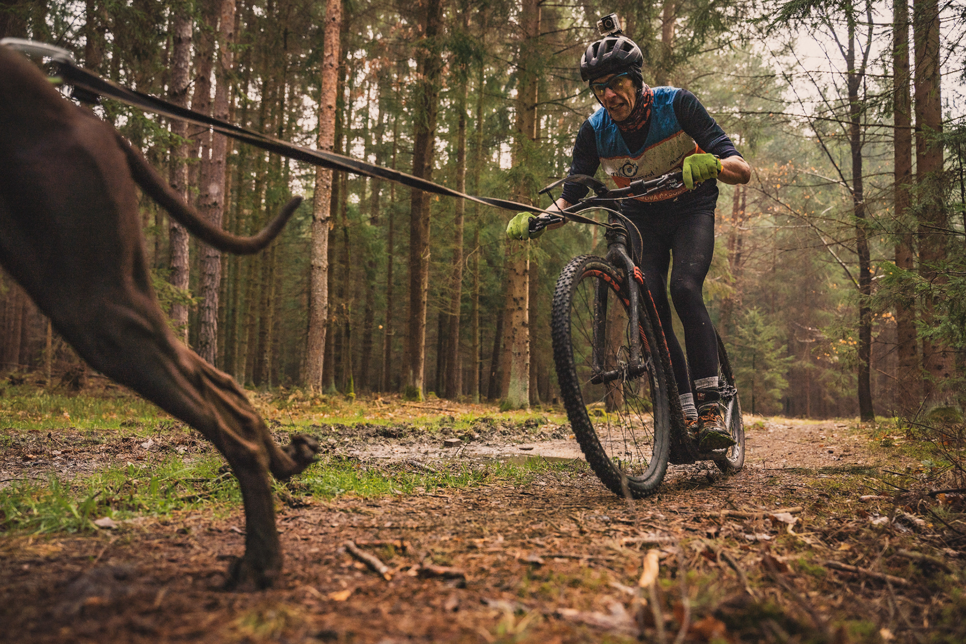 reportážní foto, mushing