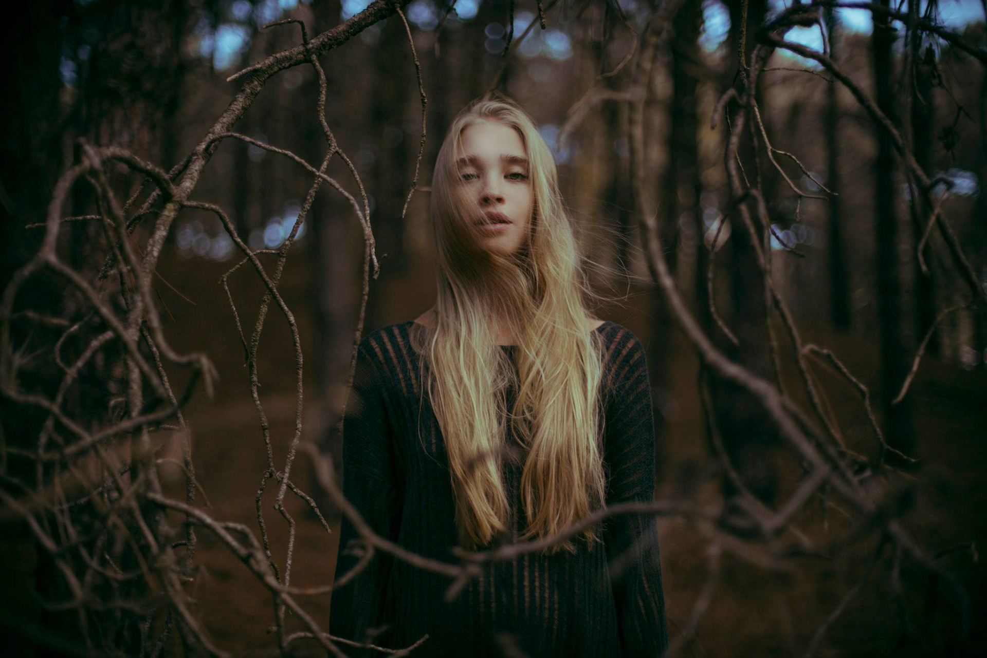 Sasha in the woods - digital