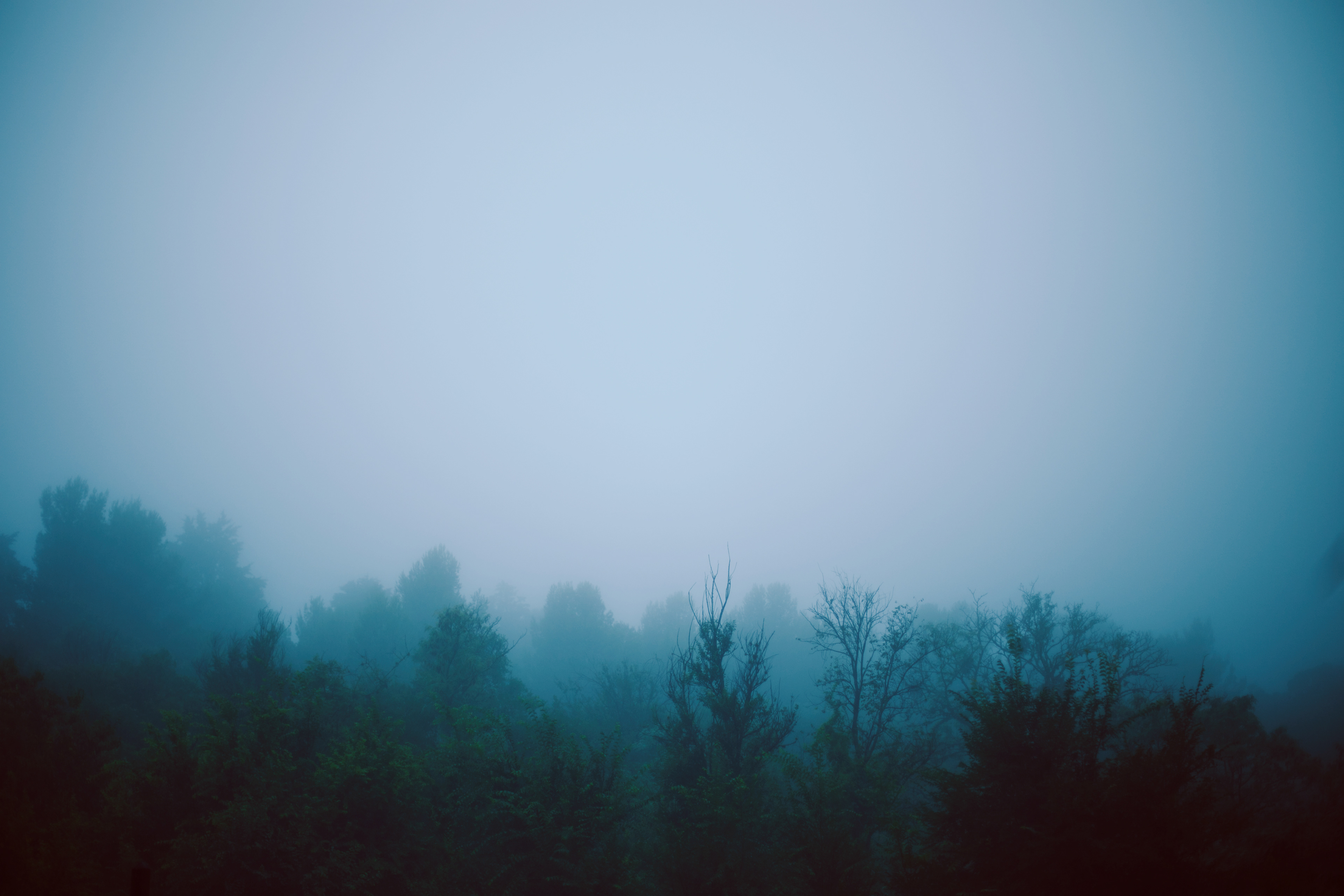 Córdoba bajo niebla - digital