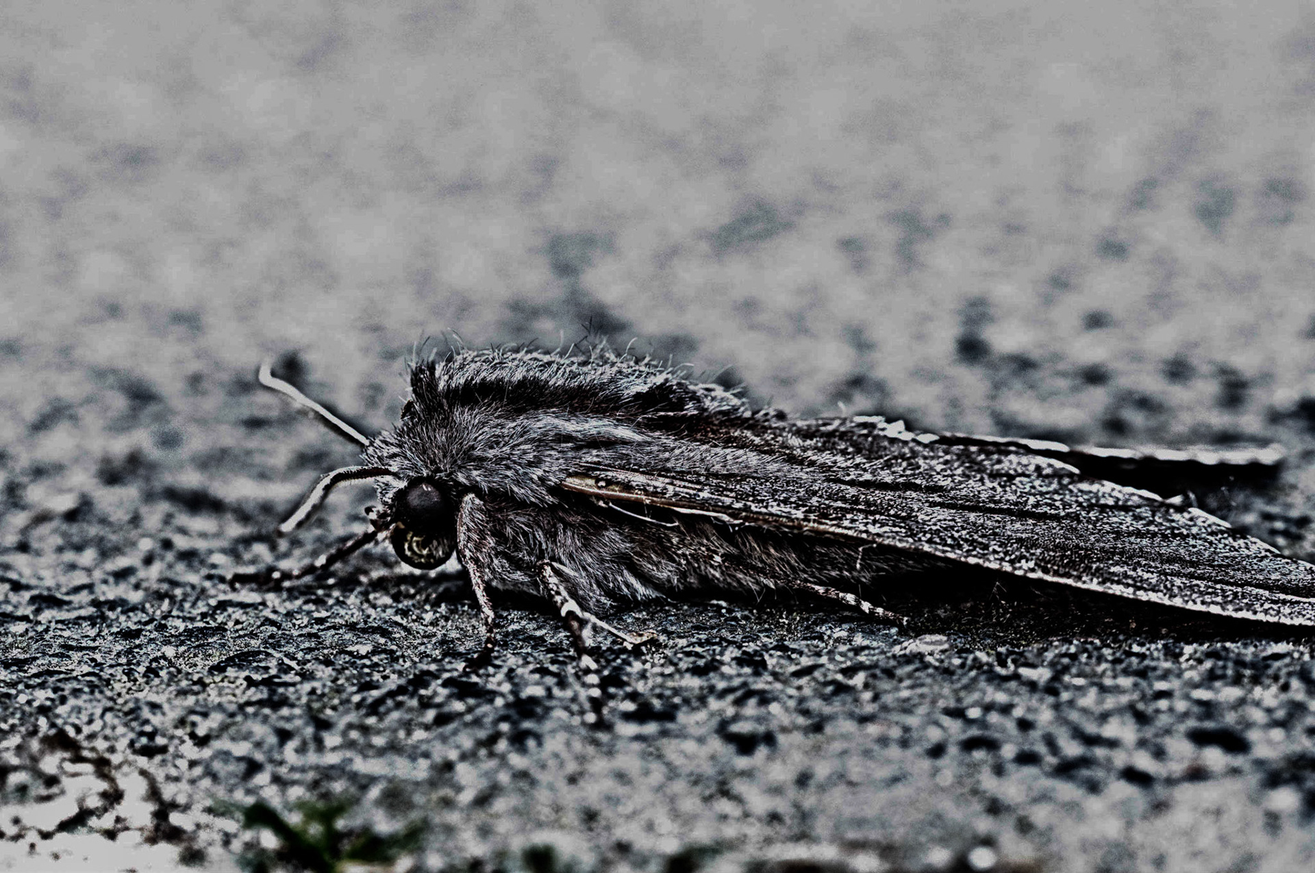 Das neueste nach meine Festplattencrash und Urlaub!