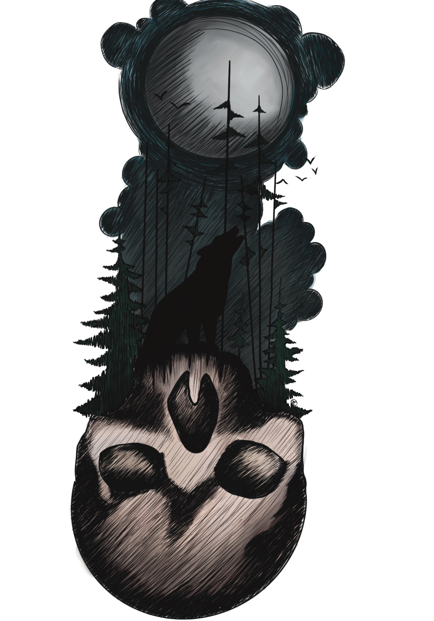 The Connection