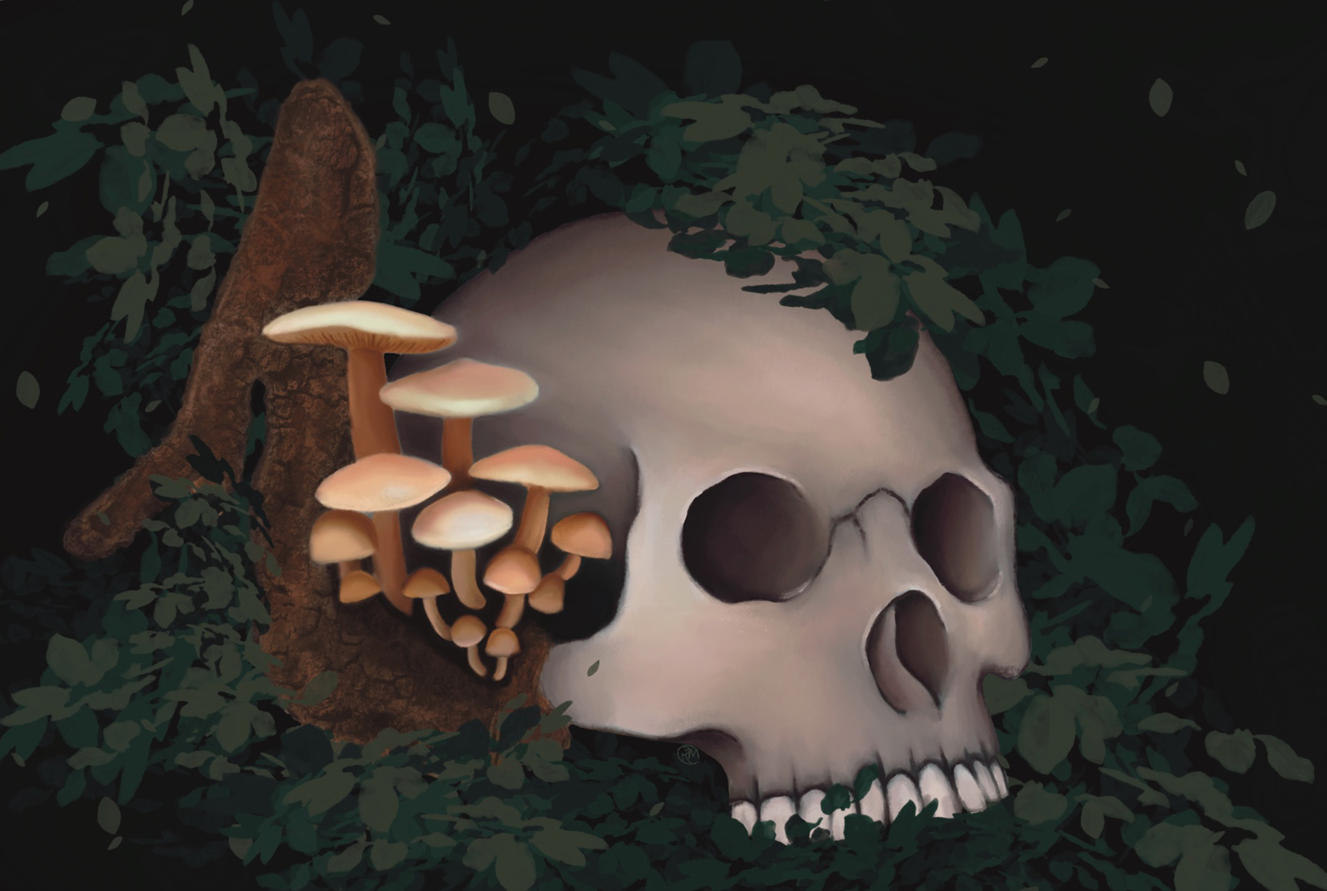 Enoki