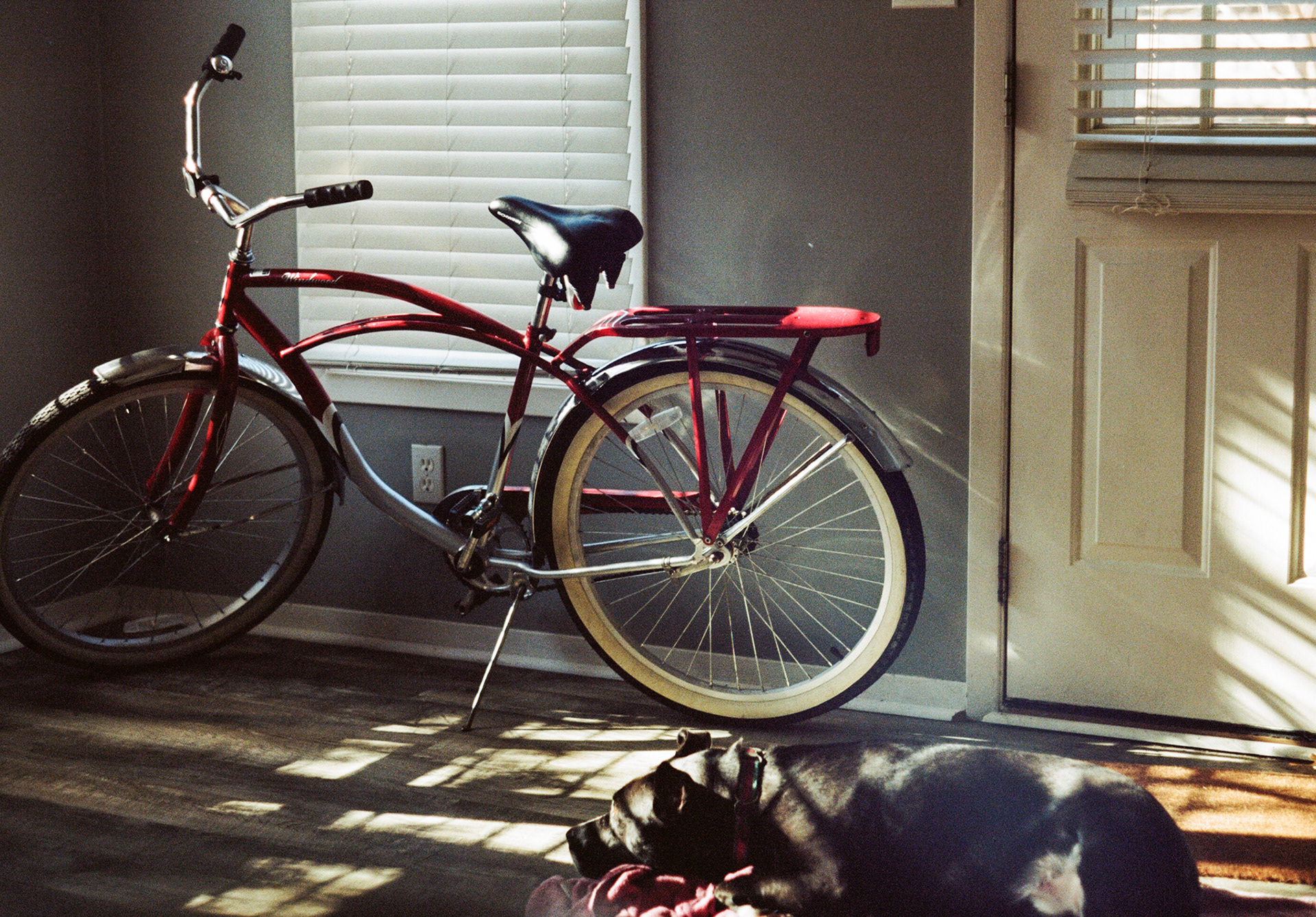 Brian Gray, "Lazy Sunday", 2023, 35mm film