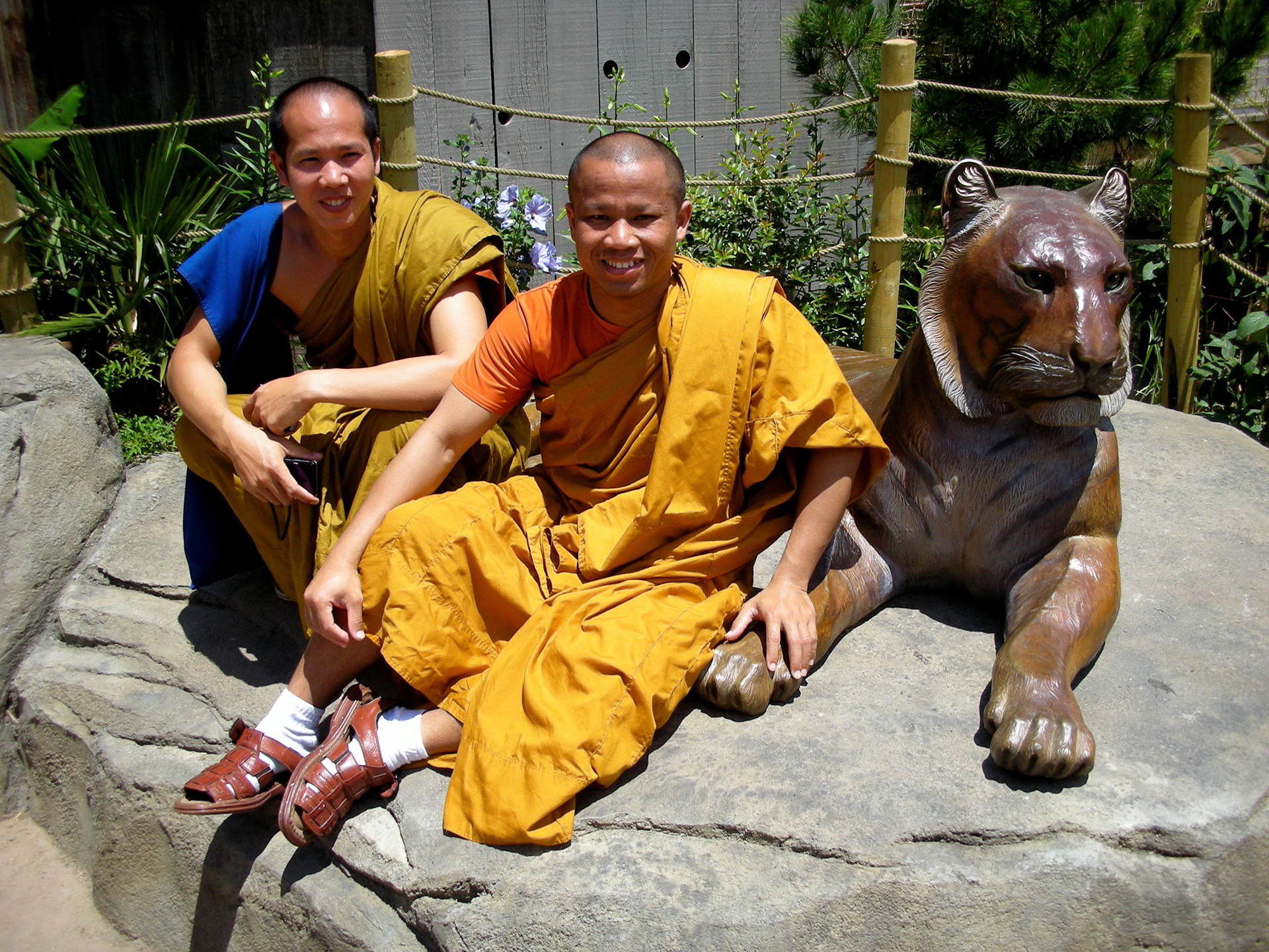 Hanging With The Tiger
