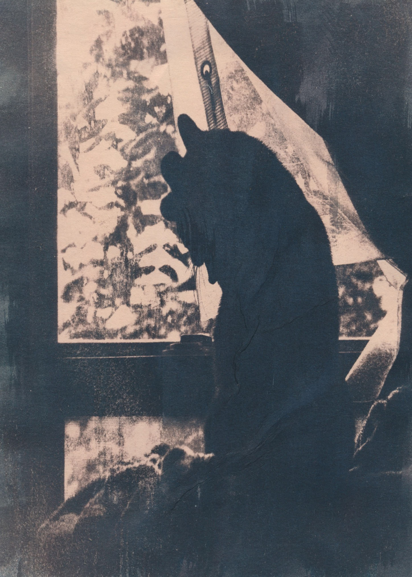 Cody Meraz, "The Weary Time Traveler", 2024, Toned cyanotype