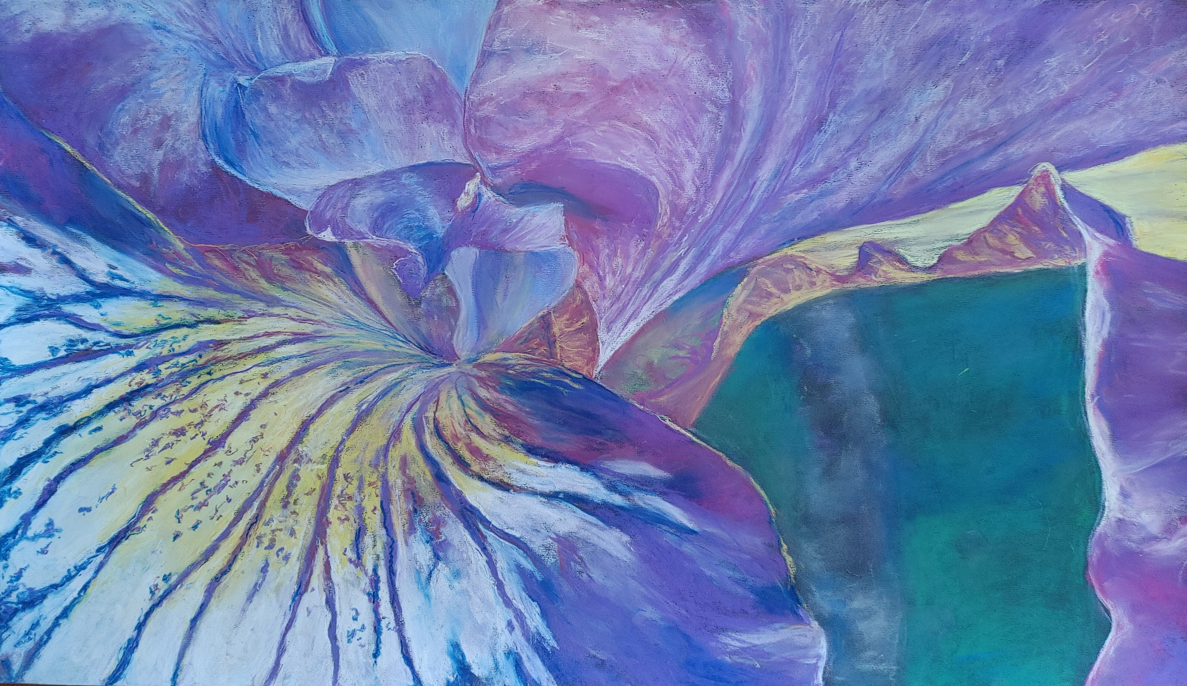 Natalie Brown, Derby High School, "Joyeuse"