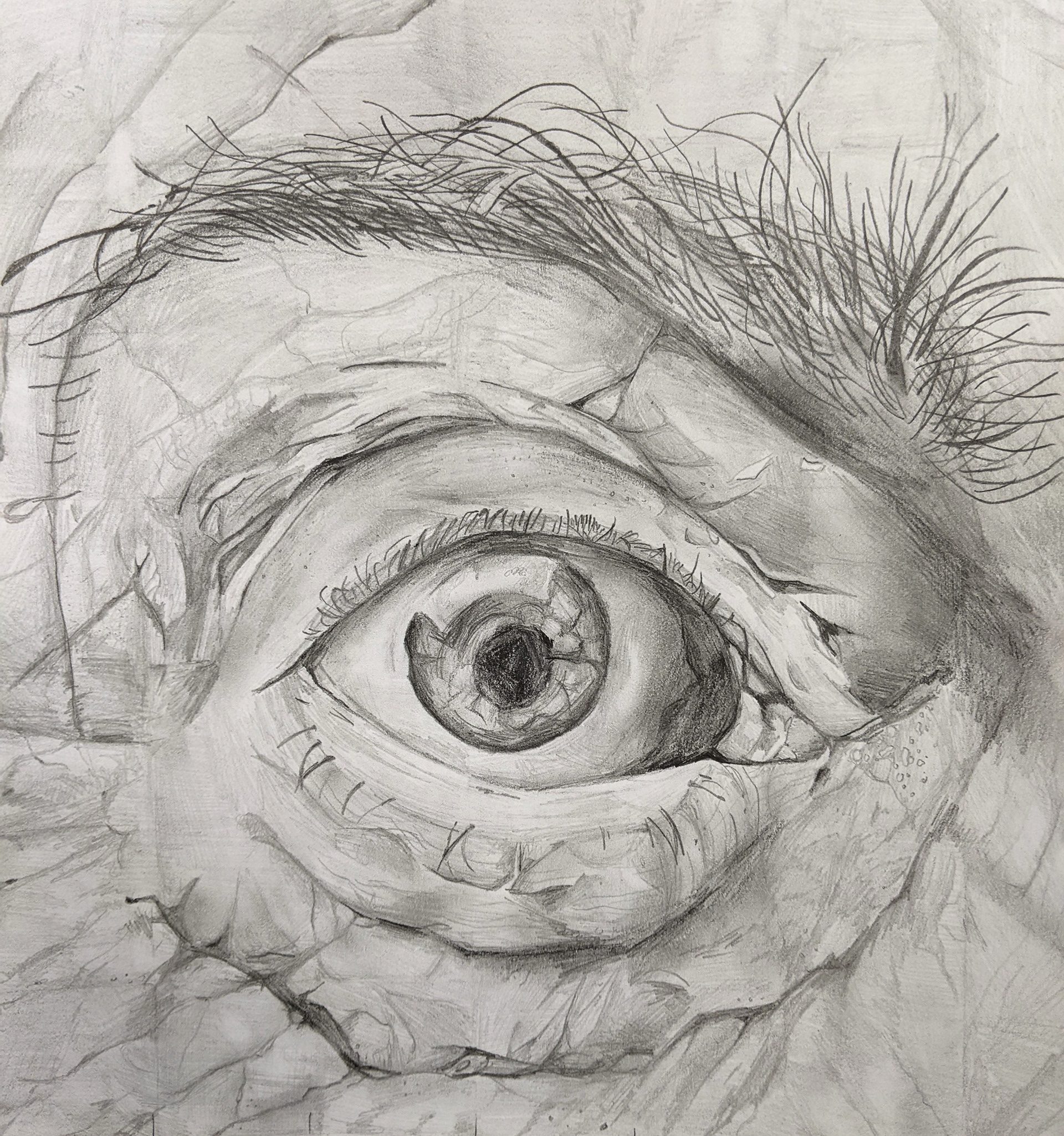 FIRST PLACE 2D - Izzy Dorner, Clearwater High School