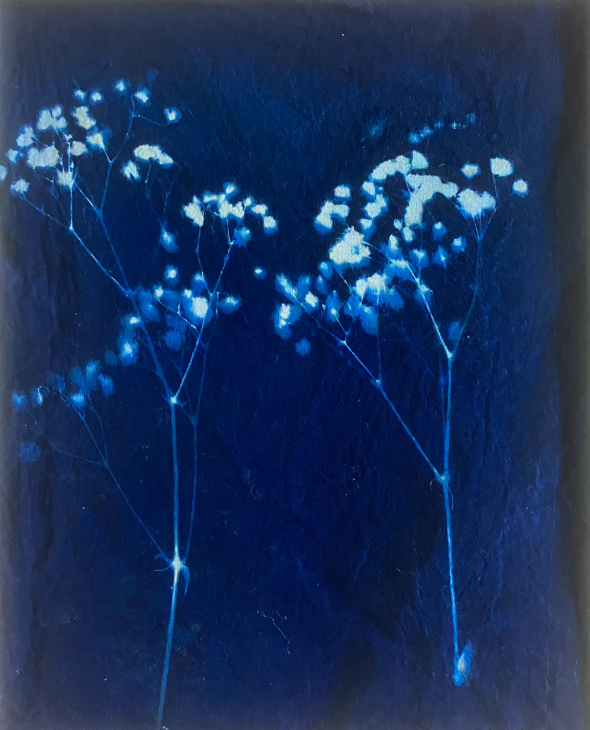 Kelly Sooter, "Flowers 1", 2024, Cyanotype on fabric
