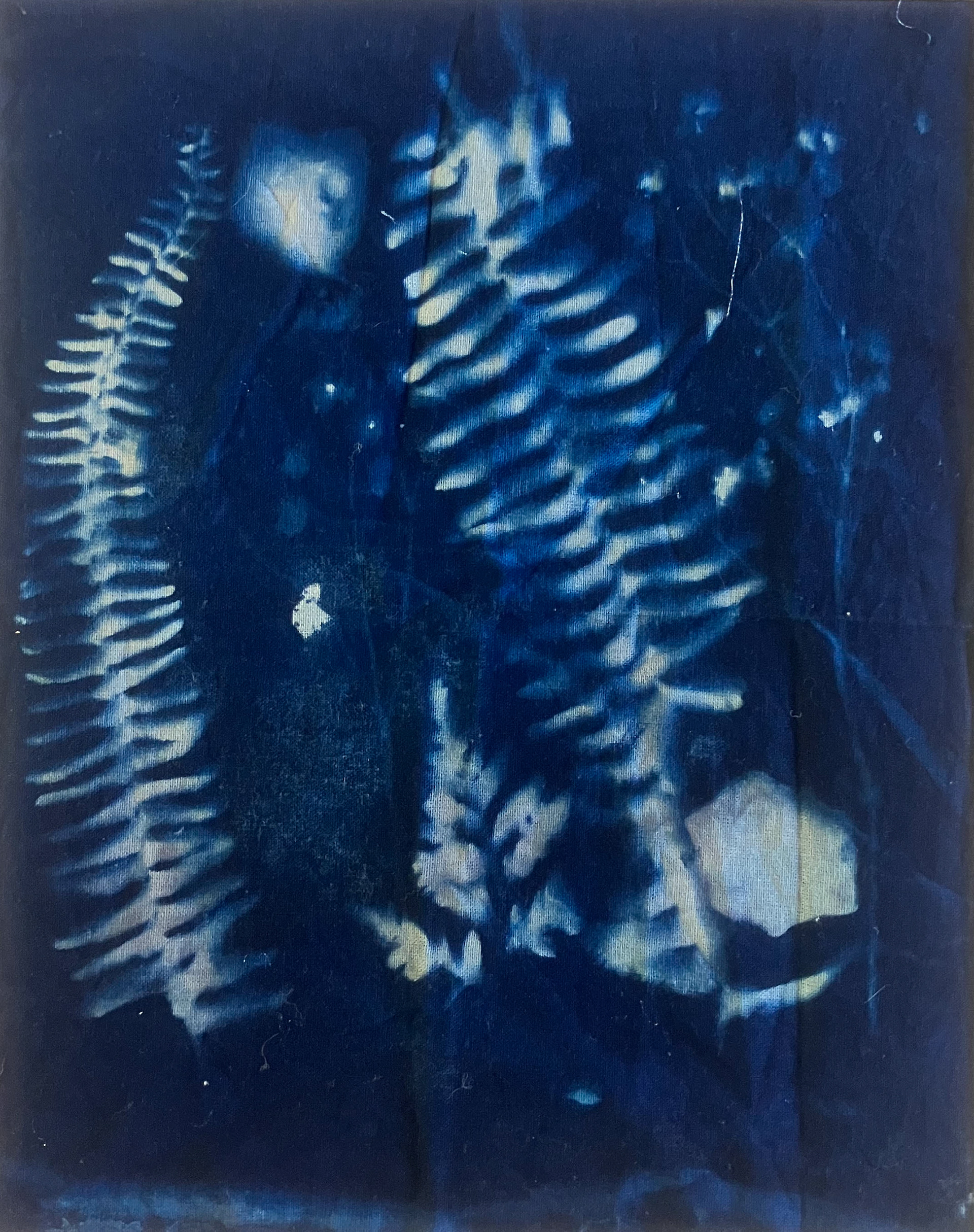 Kelly Sooter, "Found Objects 1", 2024, Cyanotype on fabric