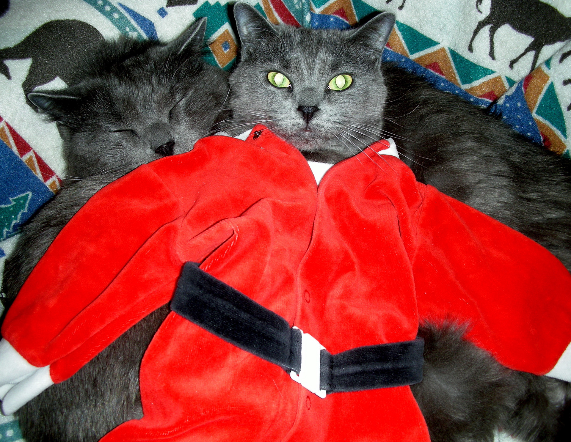 The Twister Twins Holiday