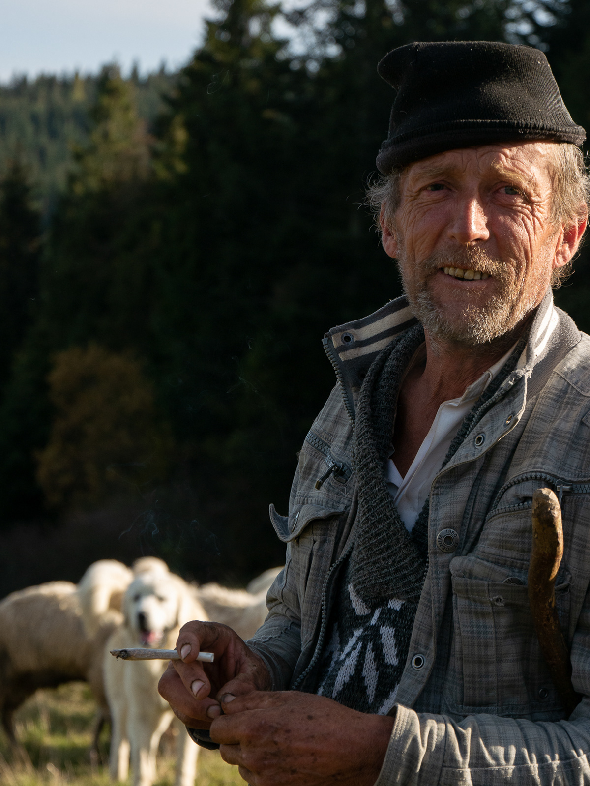 Konina, Gorce, Poland