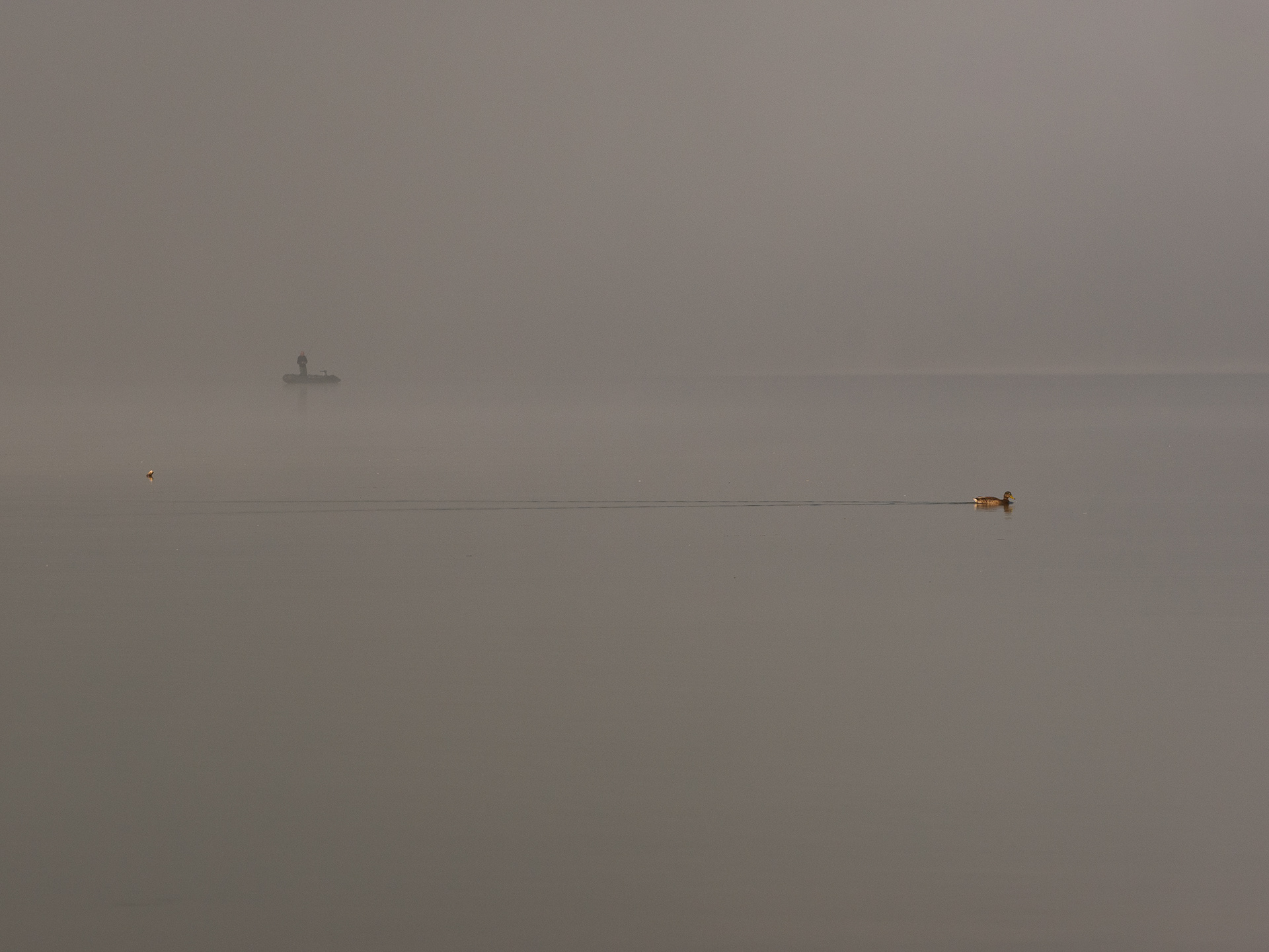 Jezioro Czorsztyńskie, Poland