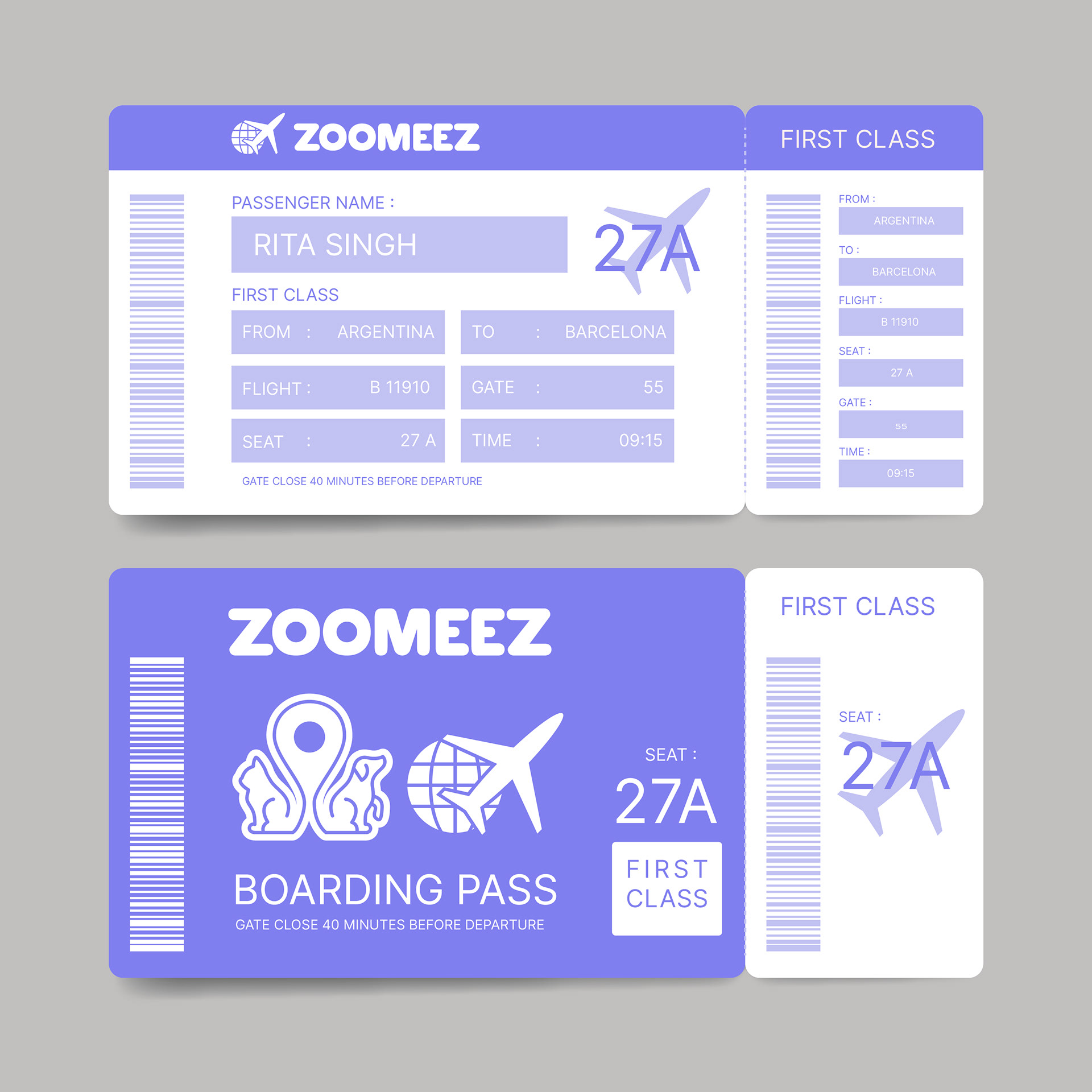 Plane Ticket