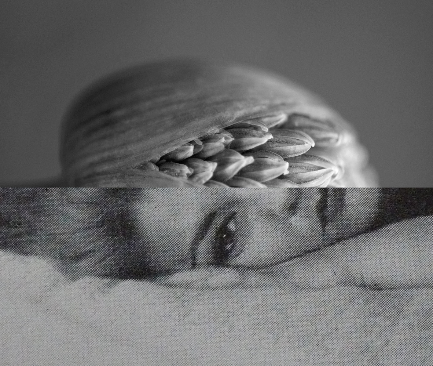 Human Nature (28). Collage, original photography, mixed media. 10 x 12 cm