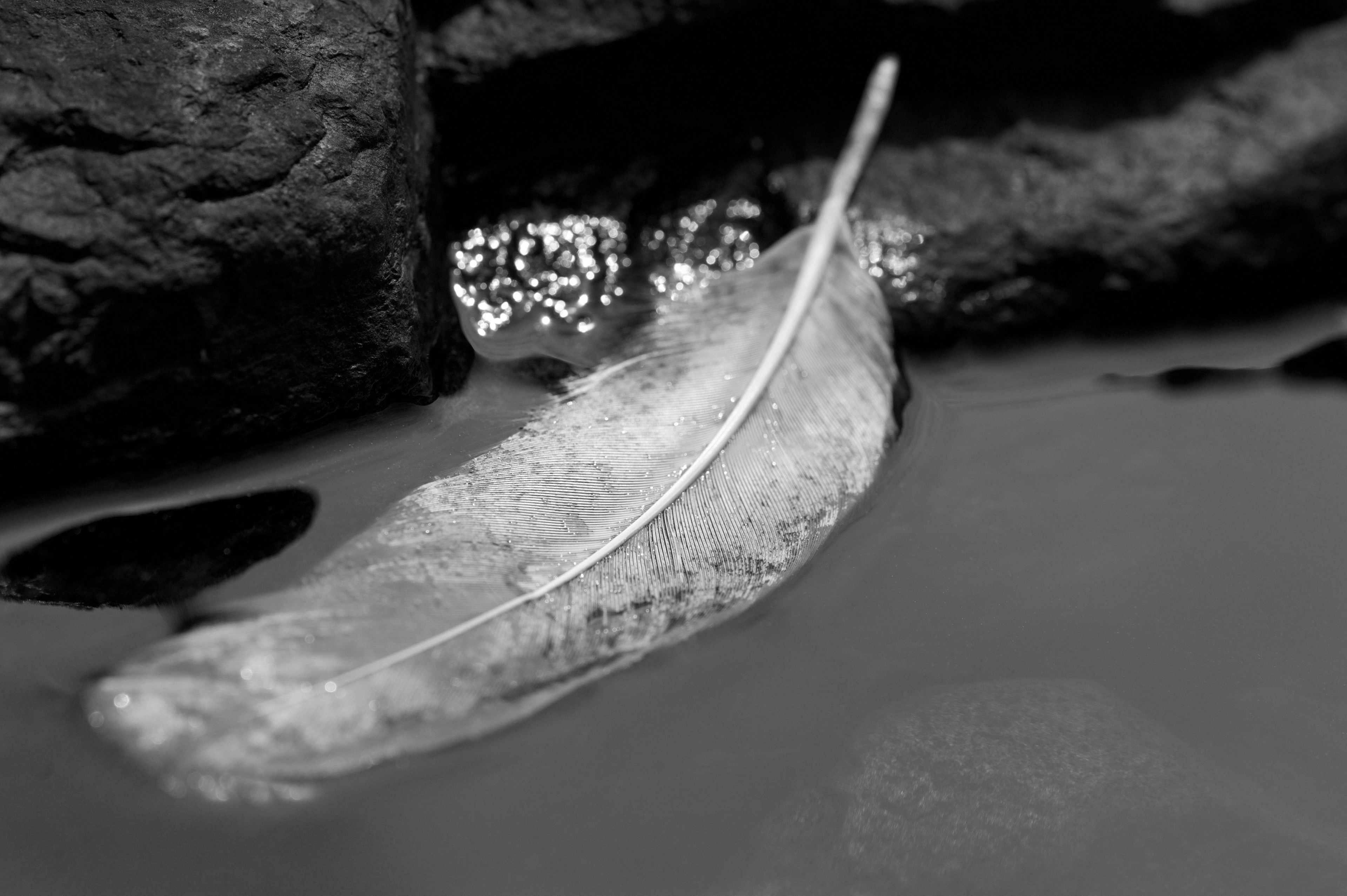 Archival pigment print