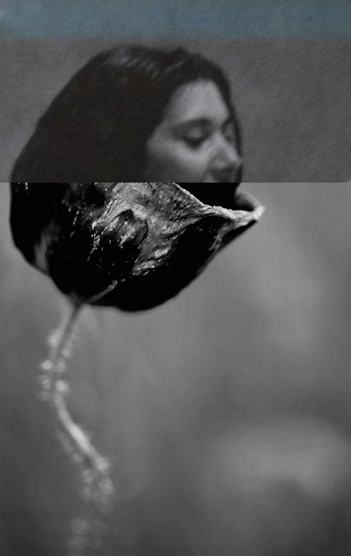Human Nature (32). Collage, original photography, mixed media. 16 x 10 cm