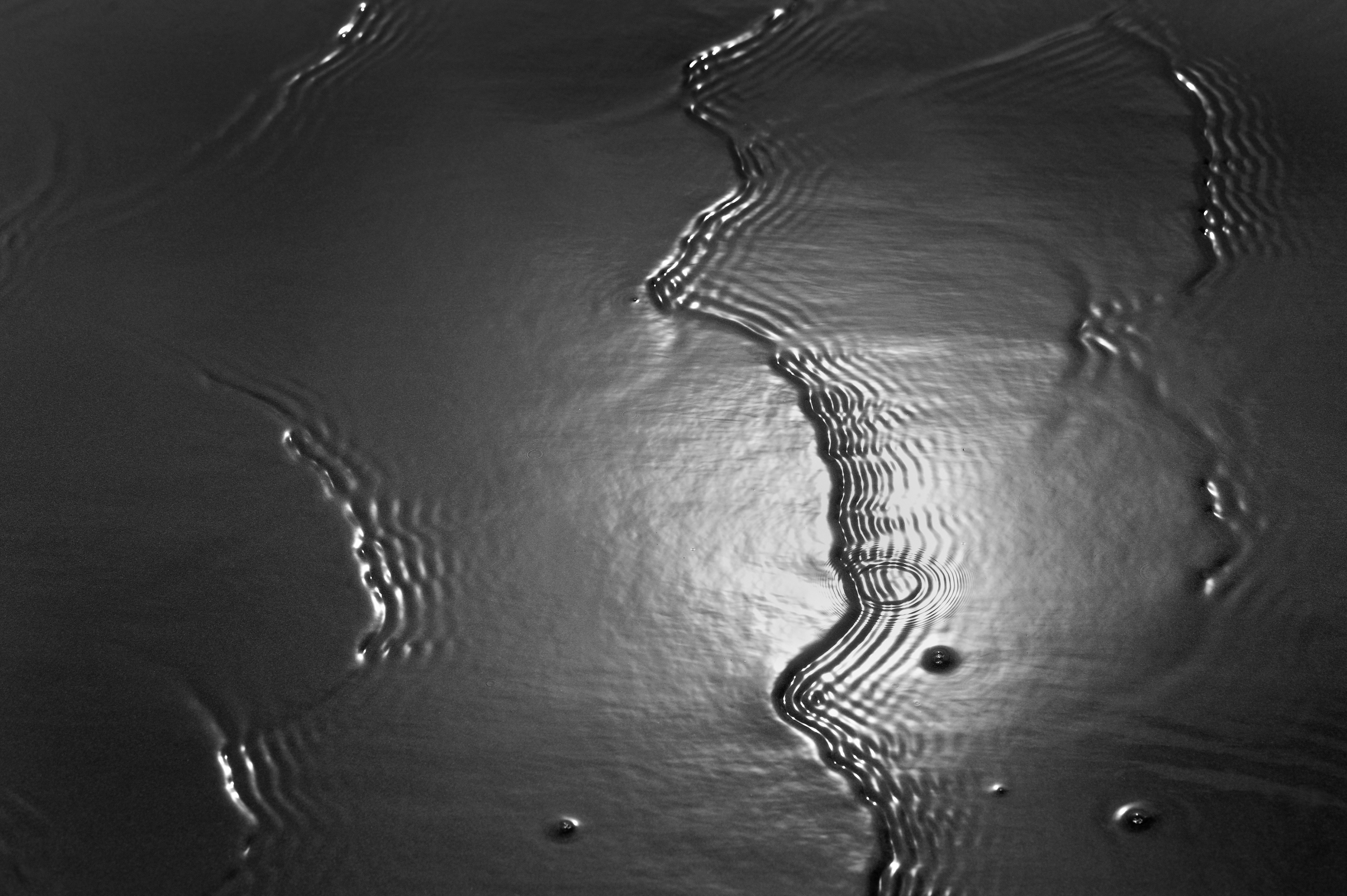 Archival pigment print