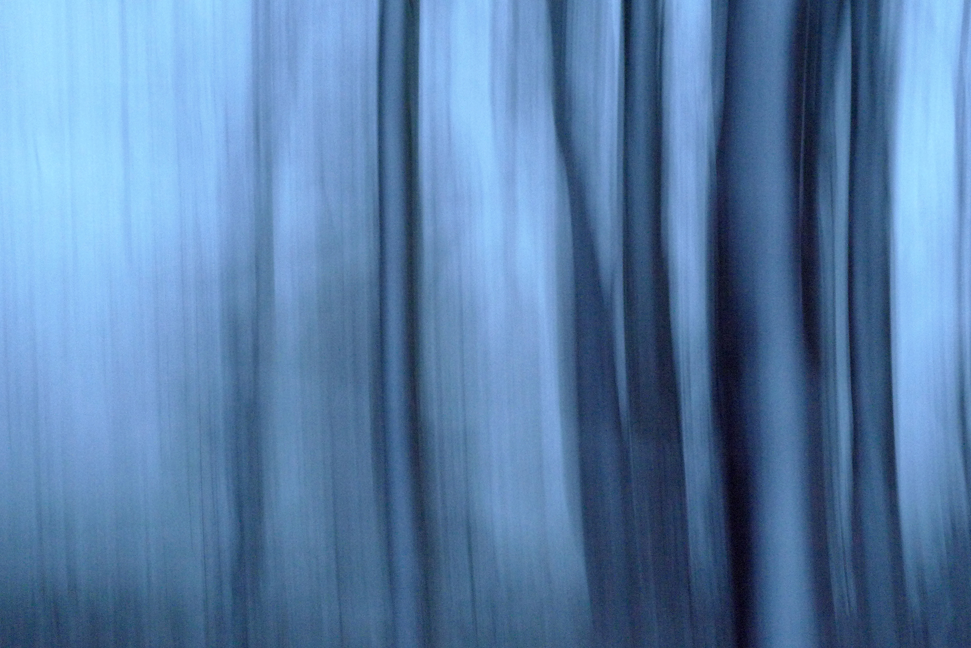 Silent Wolf. Photography, mixed media on Arches Aquarelle rag. 31 x 55 cm