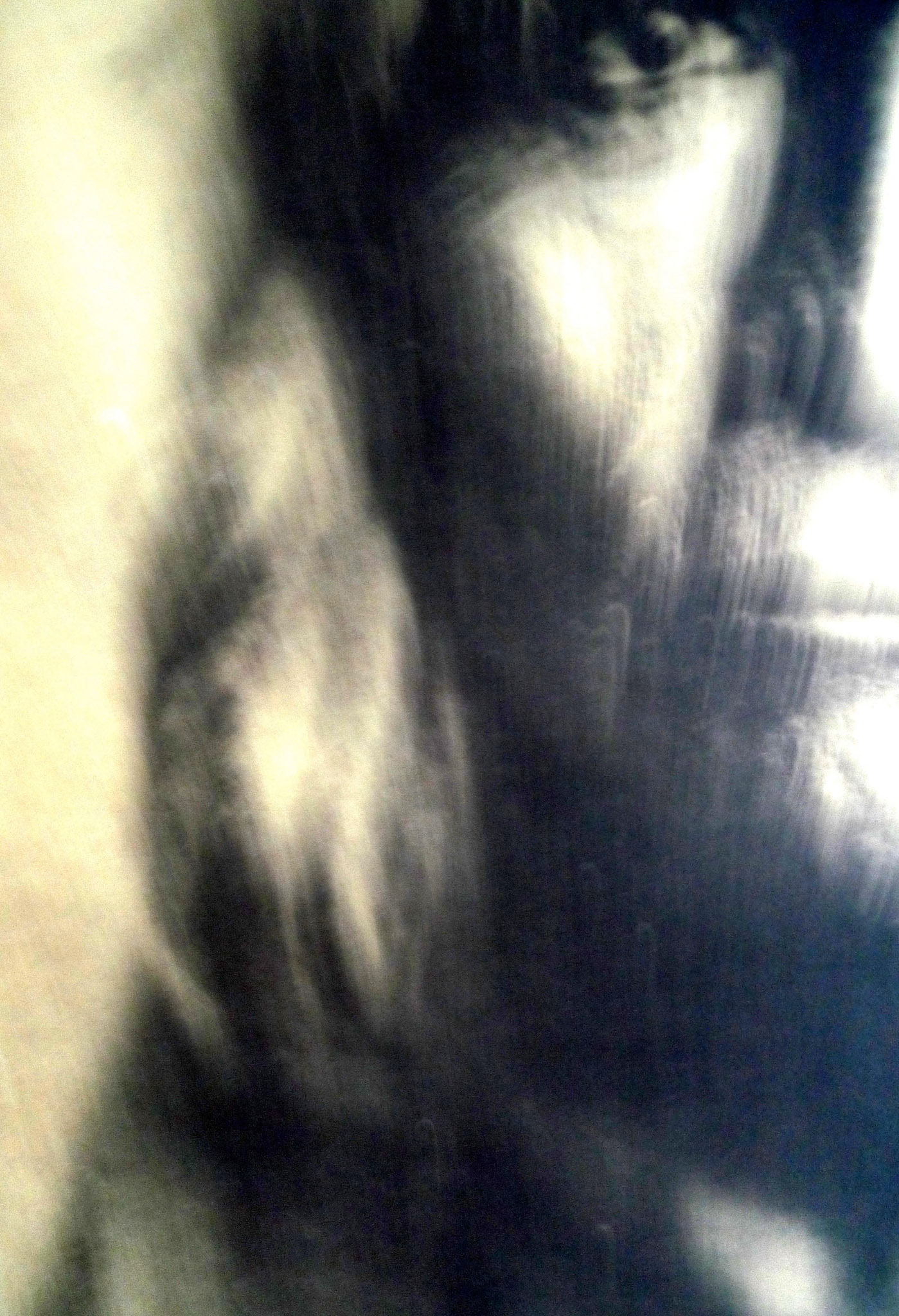Spotted Thunder. Photography, mixed media on Arches Aquarelle rag. 47 x 31 cm
