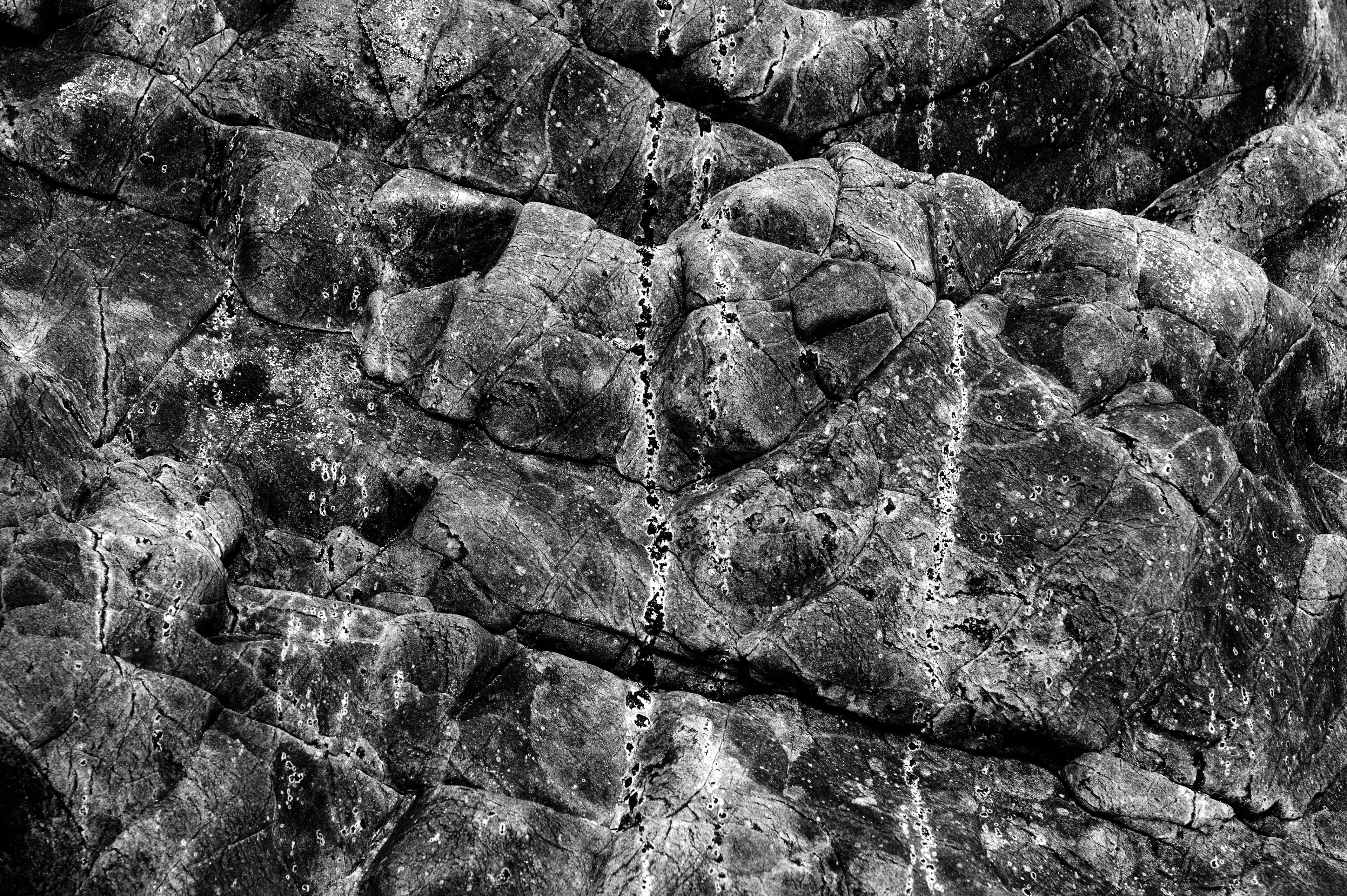 Archival pigment print