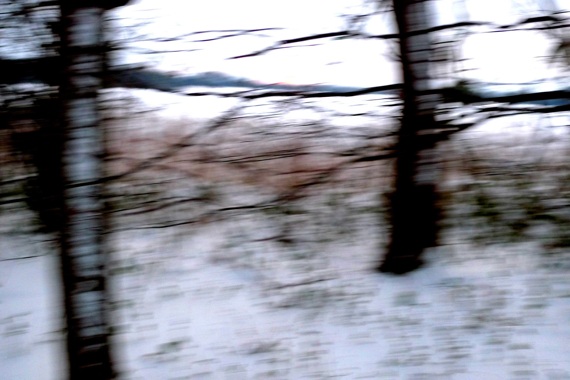Snow Bird. Photography, mixed media on Arches Aquarelle rag. 31 x 55 cm