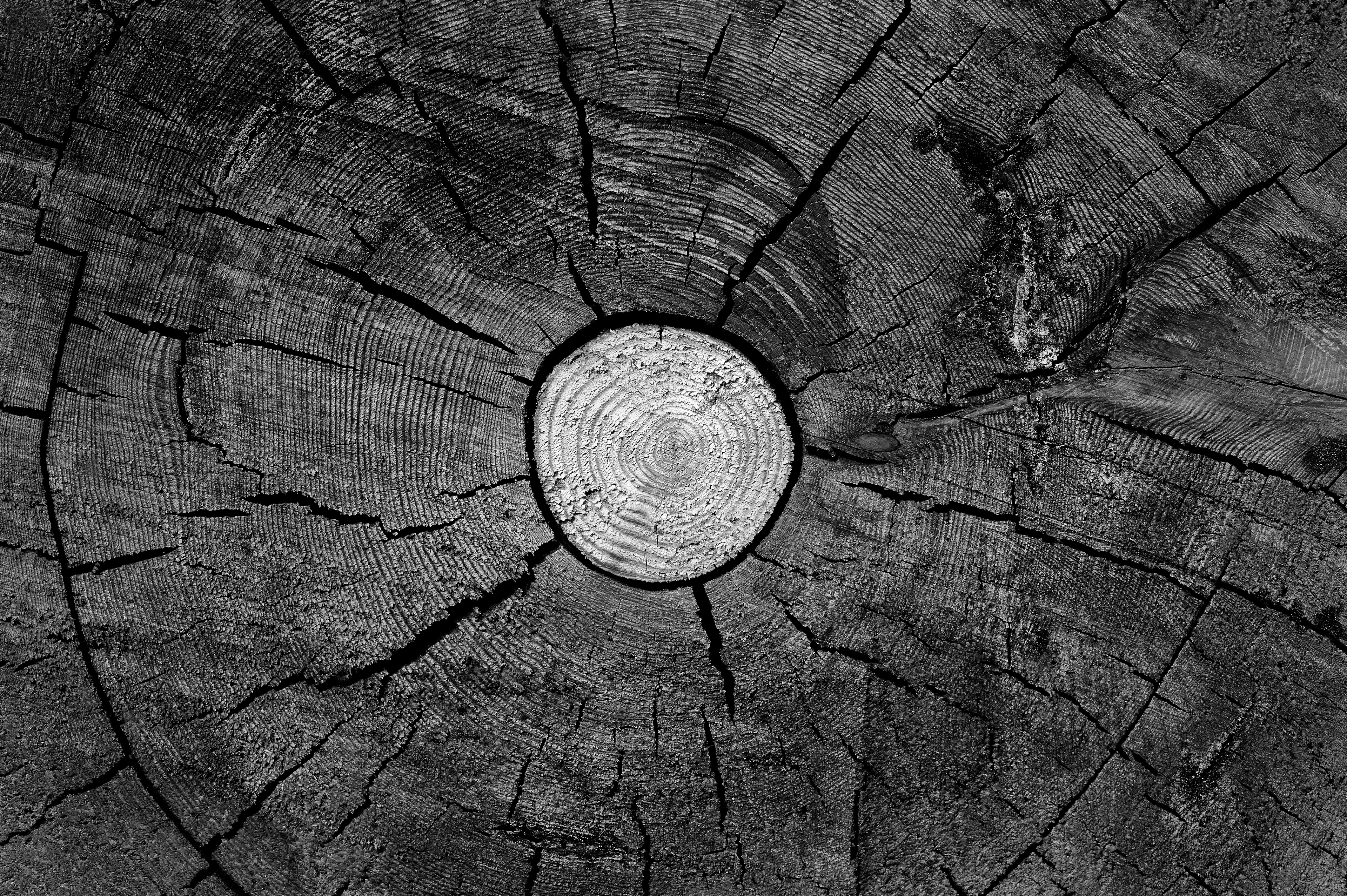Archival pigment print
