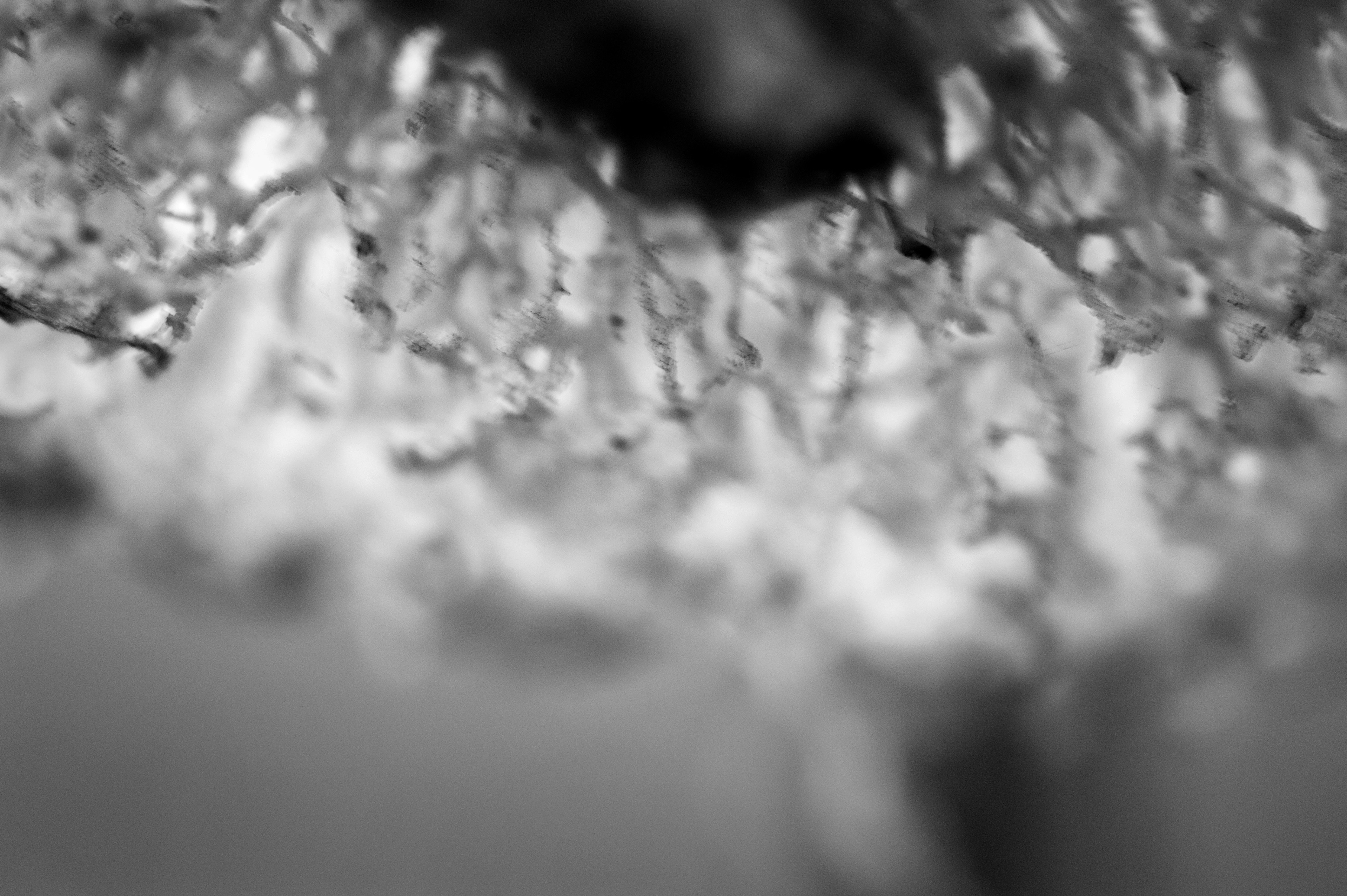 Archival pigment print