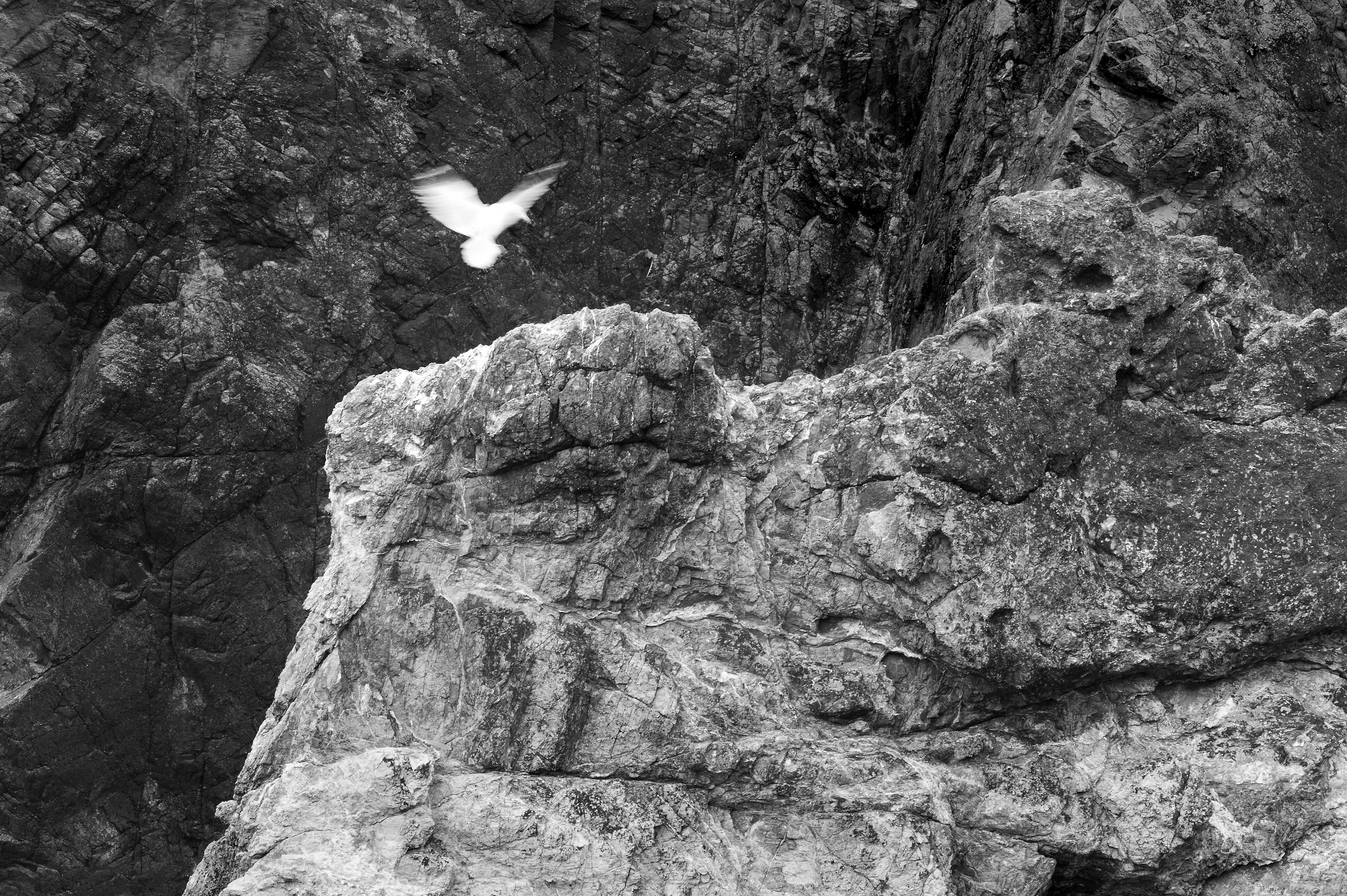 Archival pigment print