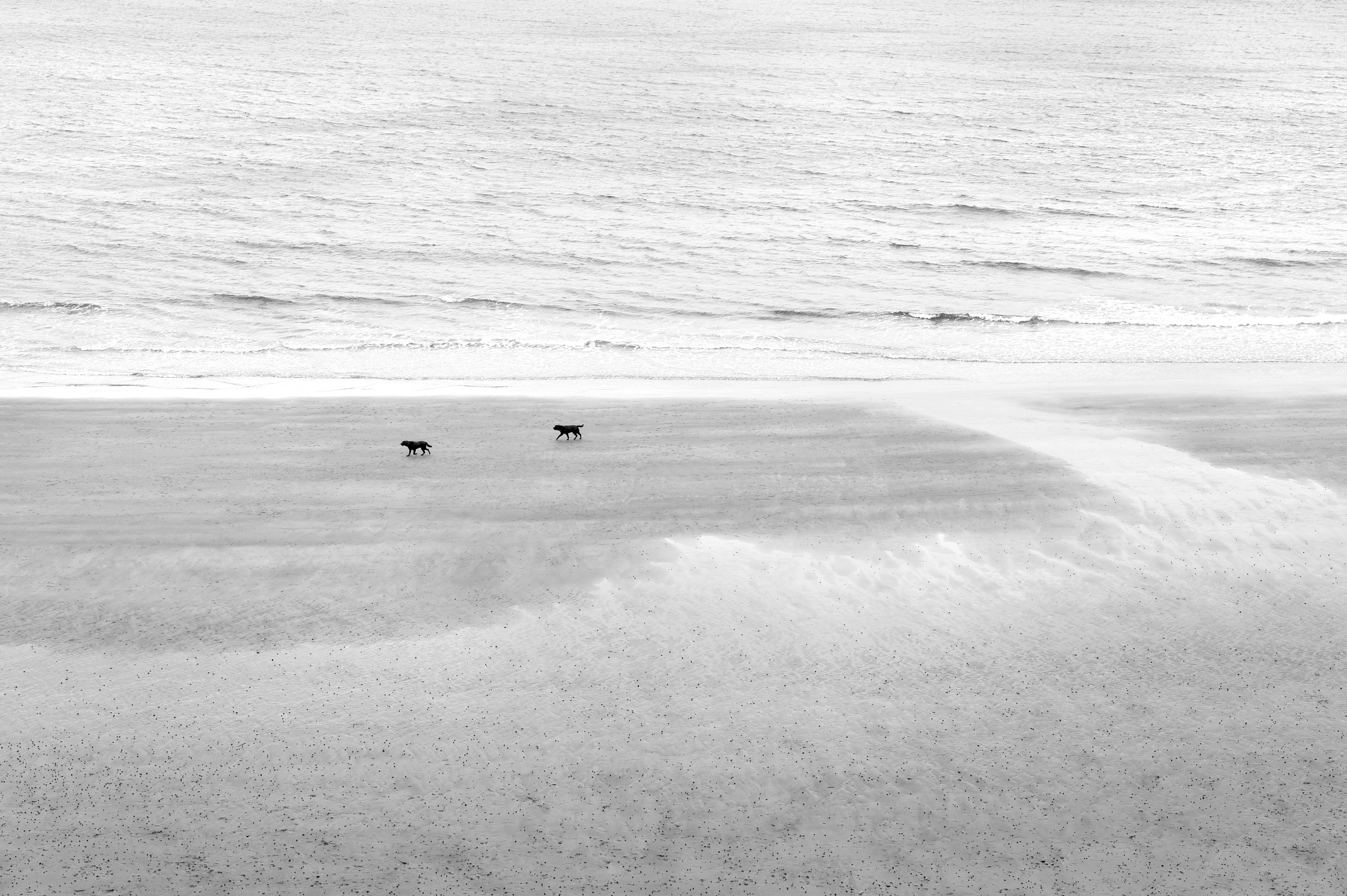Archival pigment print