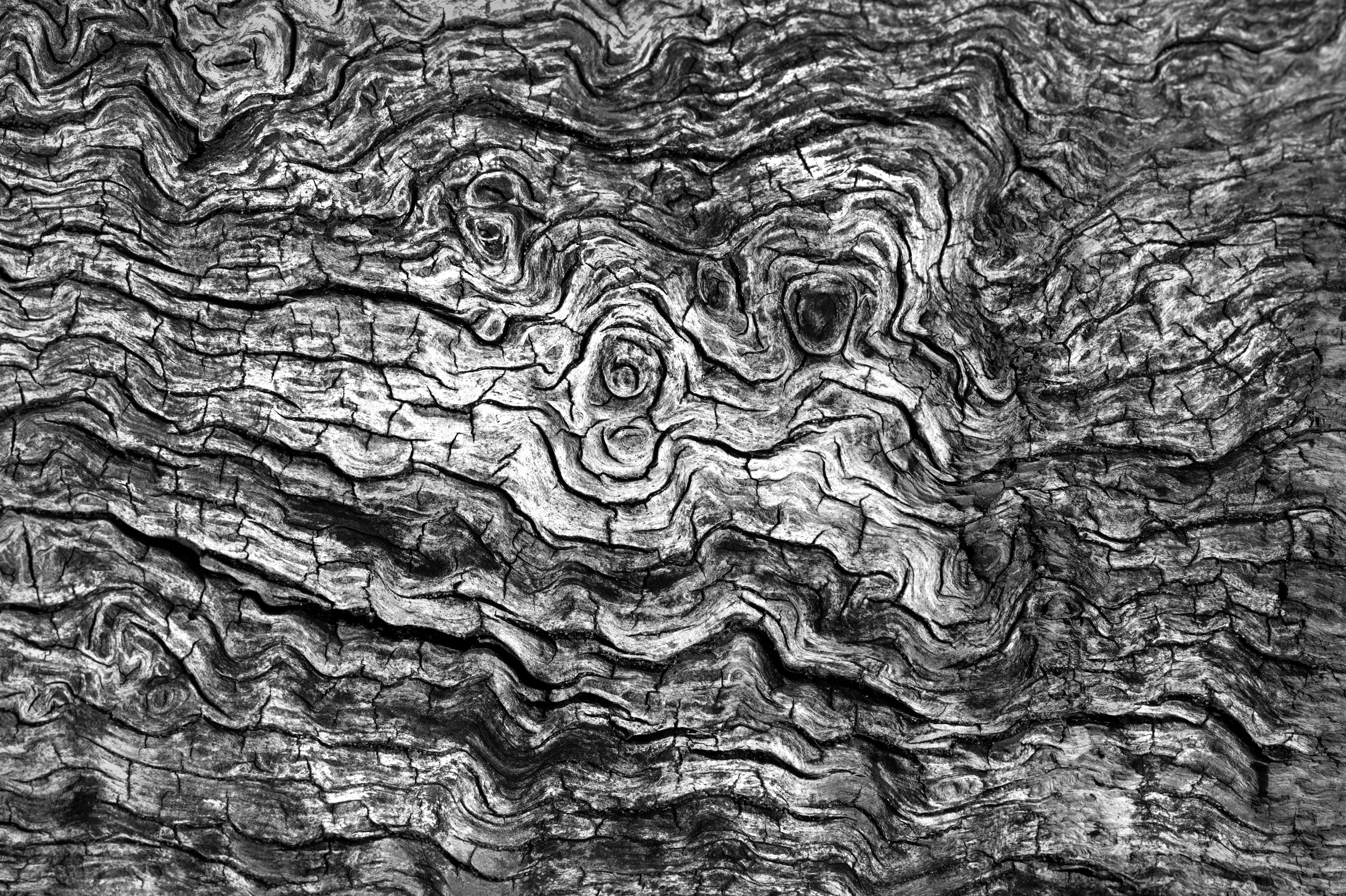 Archival pigment print