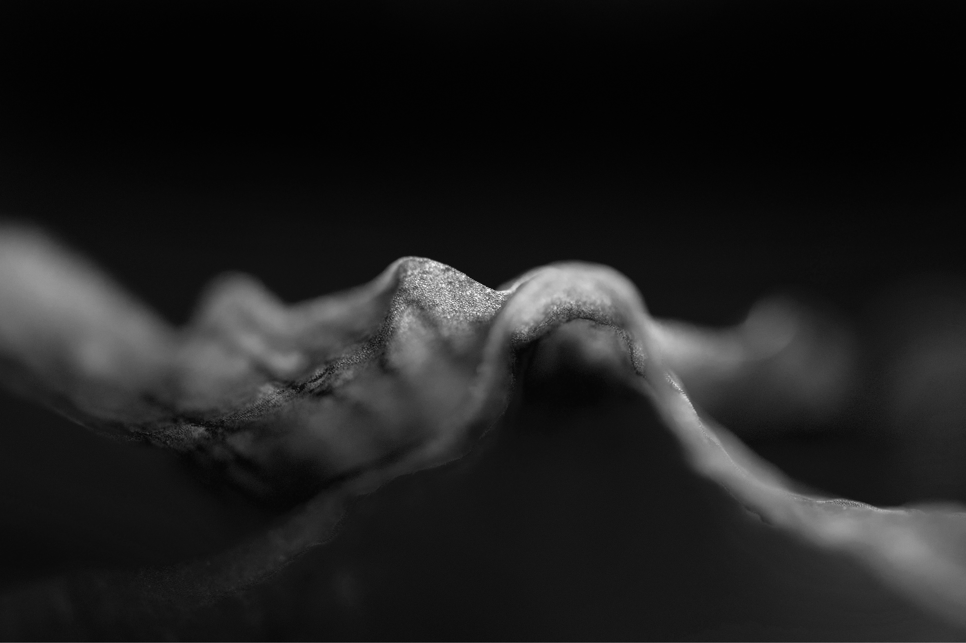 Archival pigment print